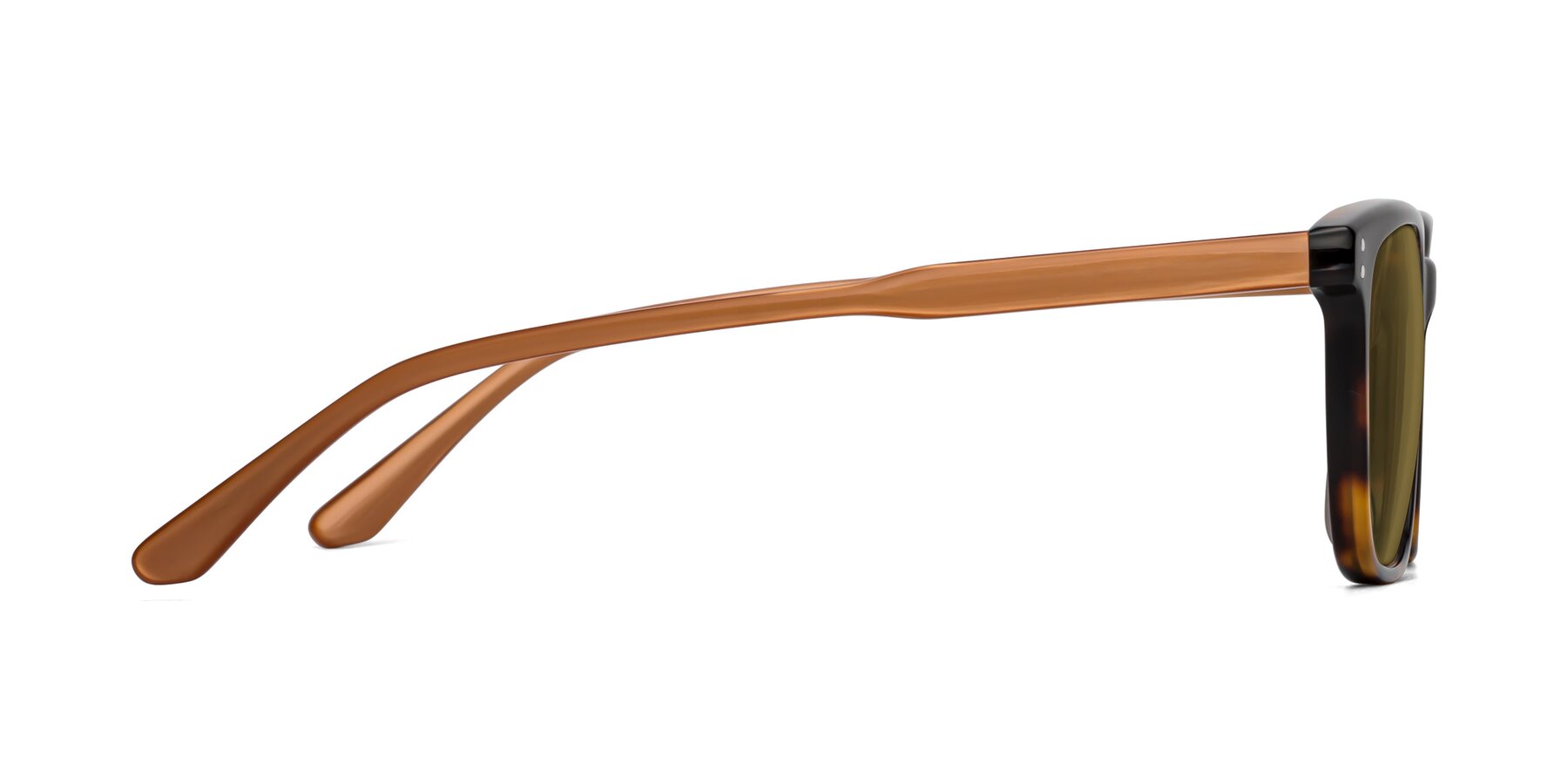 Side of Pretty in Tortoise-Caramel with Brown Polarized Lenses