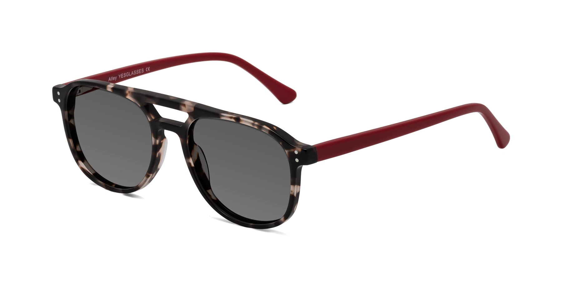 Angle of Alley in Tortoise-Red with Medium Gray Tinted Lenses