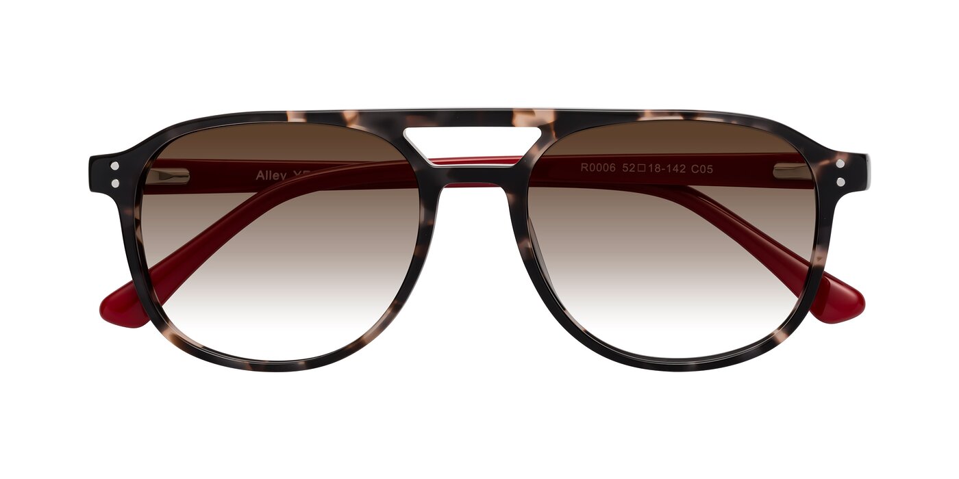 Alley - Tortoise / Red Gradient Sunglasses