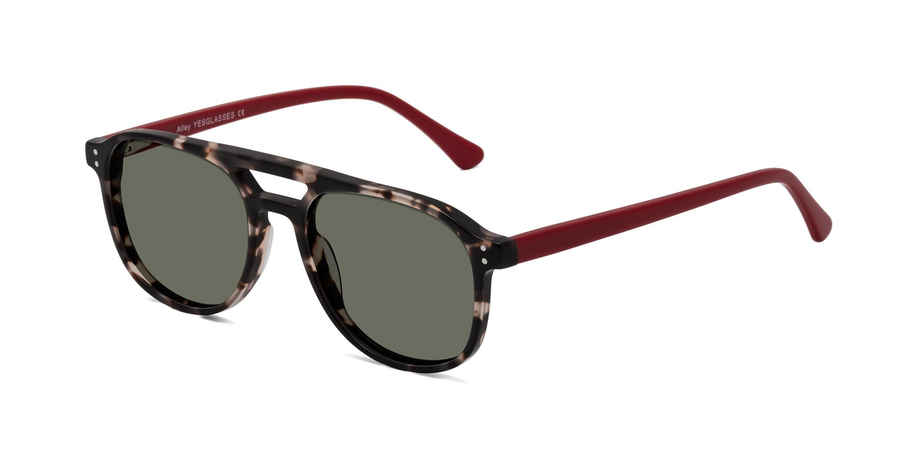 Angle of Alley in Tortoise-Red with Gray Polarized Lenses