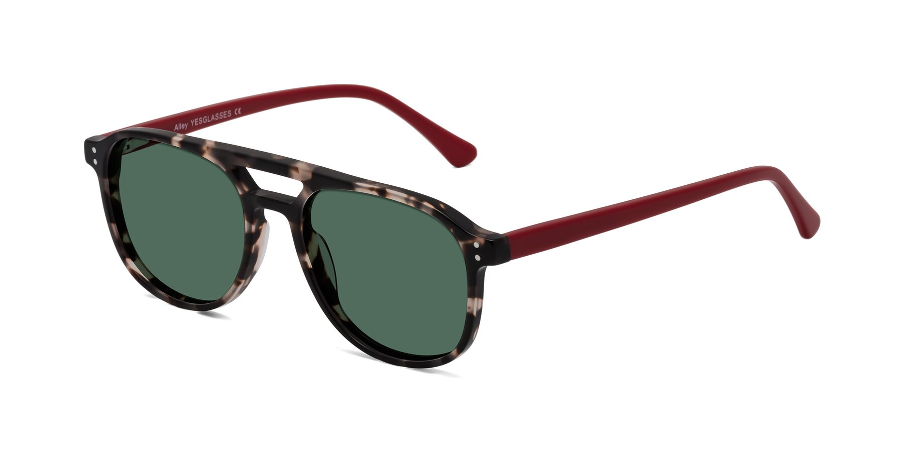 Angle of Alley in Tortoise-Red with Green Polarized Lenses