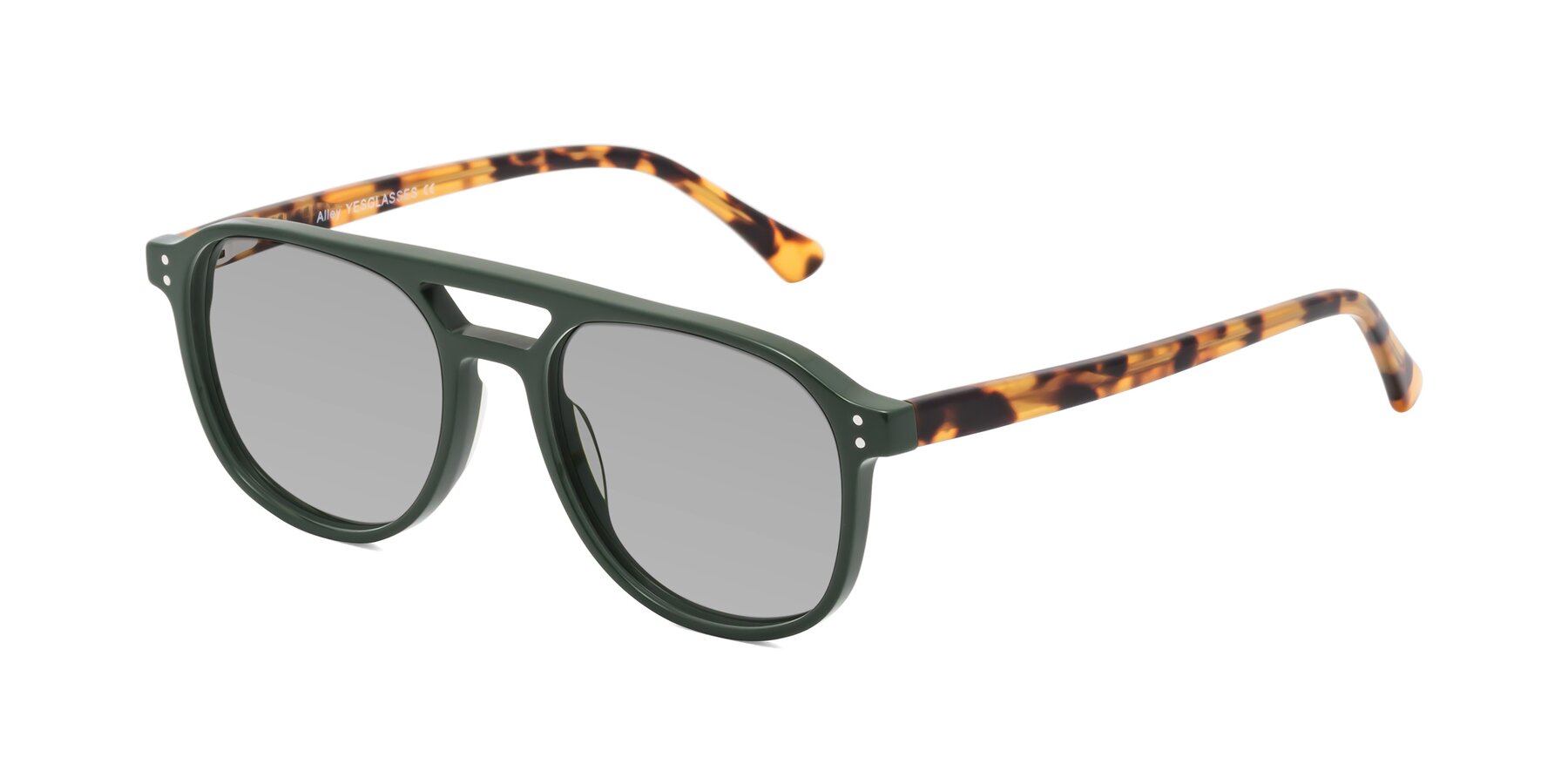 Angle of Alley in Seaweed-Tortoise with Light Gray Tinted Lenses