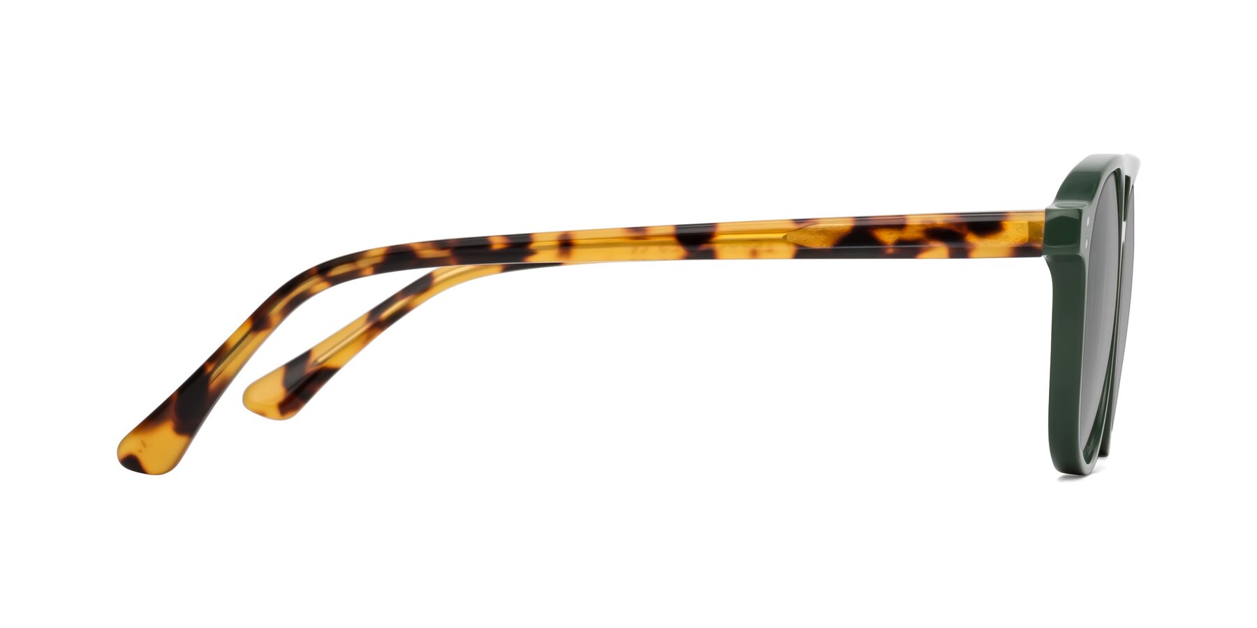 Side of Alley in Seaweed-Tortoise with Light Gray Tinted Lenses