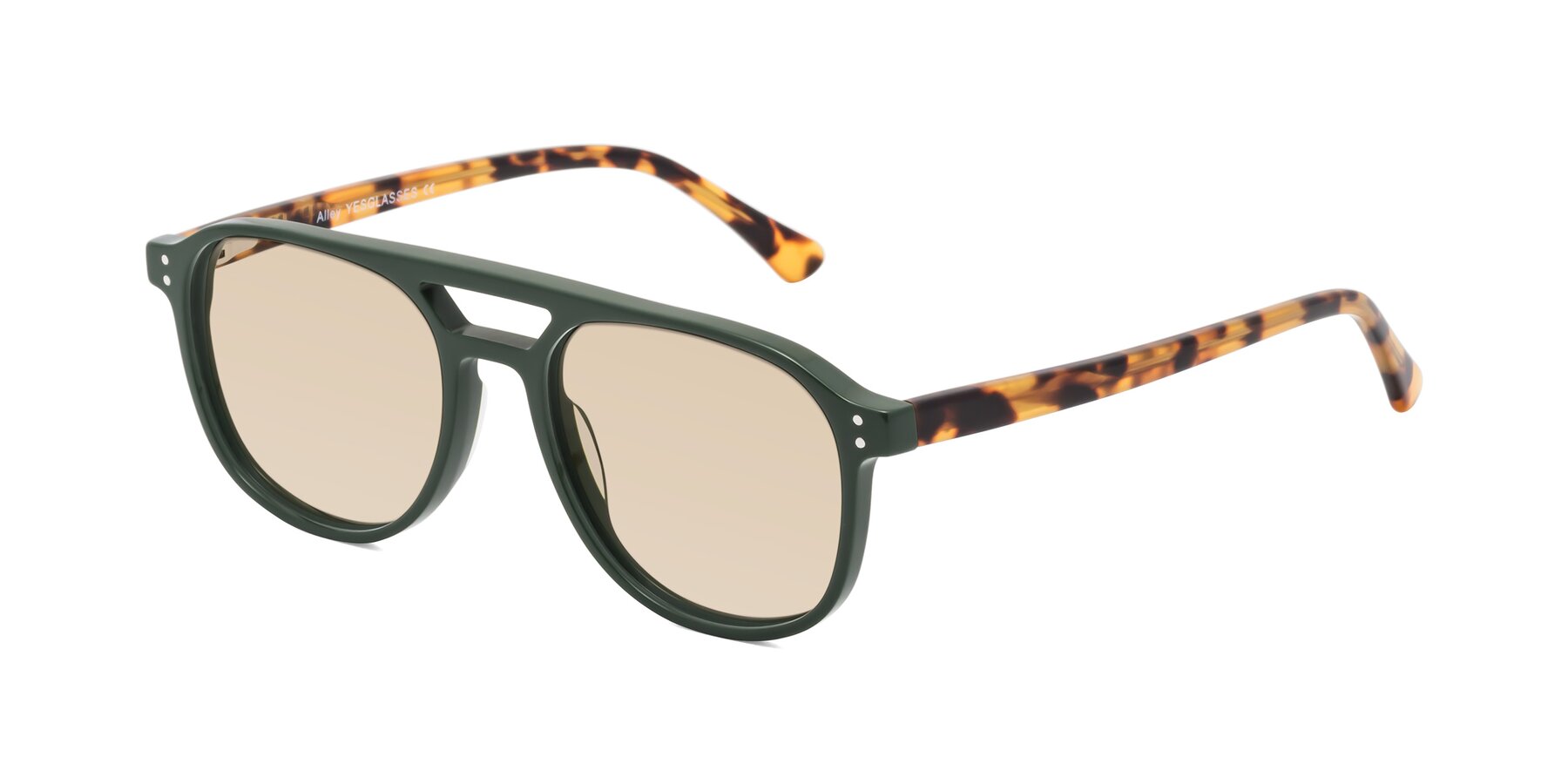 Angle of Alley in Seaweed-Tortoise with Light Brown Tinted Lenses