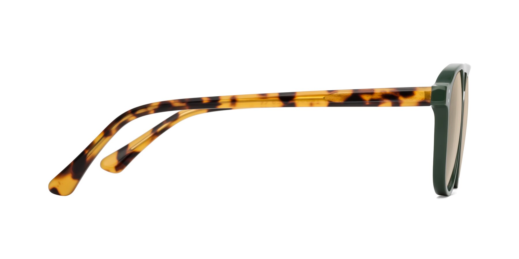 Side of Alley in Seaweed-Tortoise with Light Brown Tinted Lenses