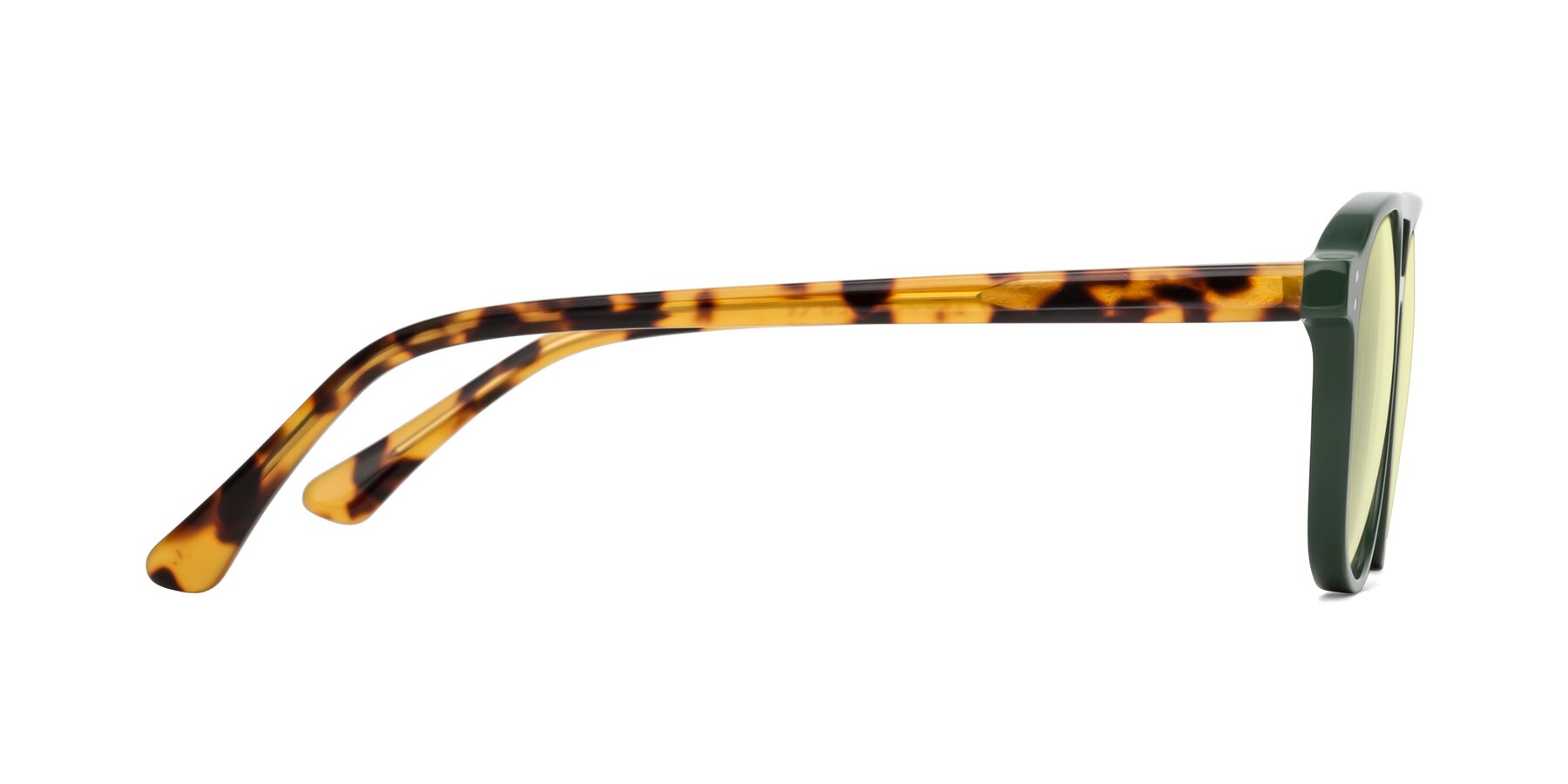 Side of Alley in Seaweed-Tortoise with Light Yellow Tinted Lenses