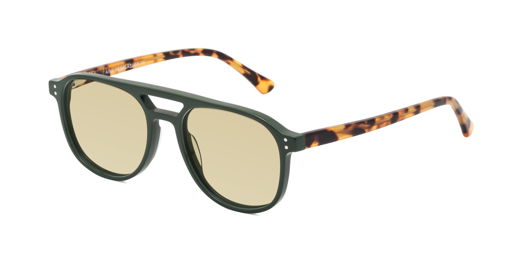 Angle of Alley in Seaweed-Tortoise with Light Champagne Tinted Lenses