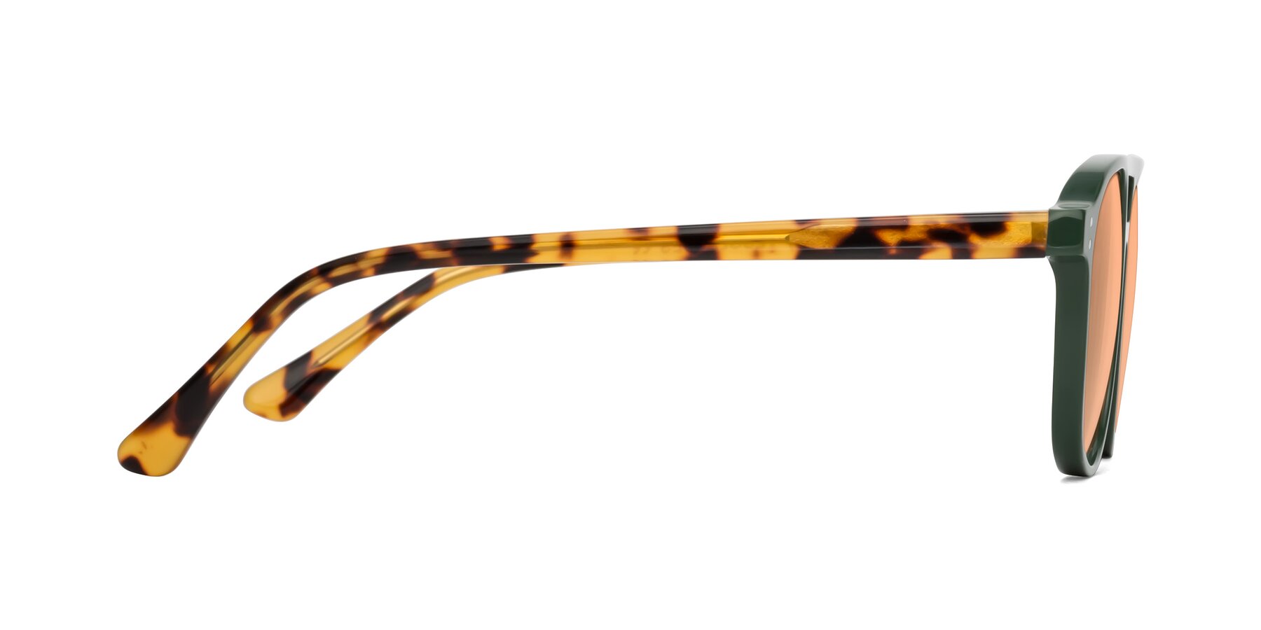 Side of Alley in Seaweed-Tortoise with Light Orange Tinted Lenses