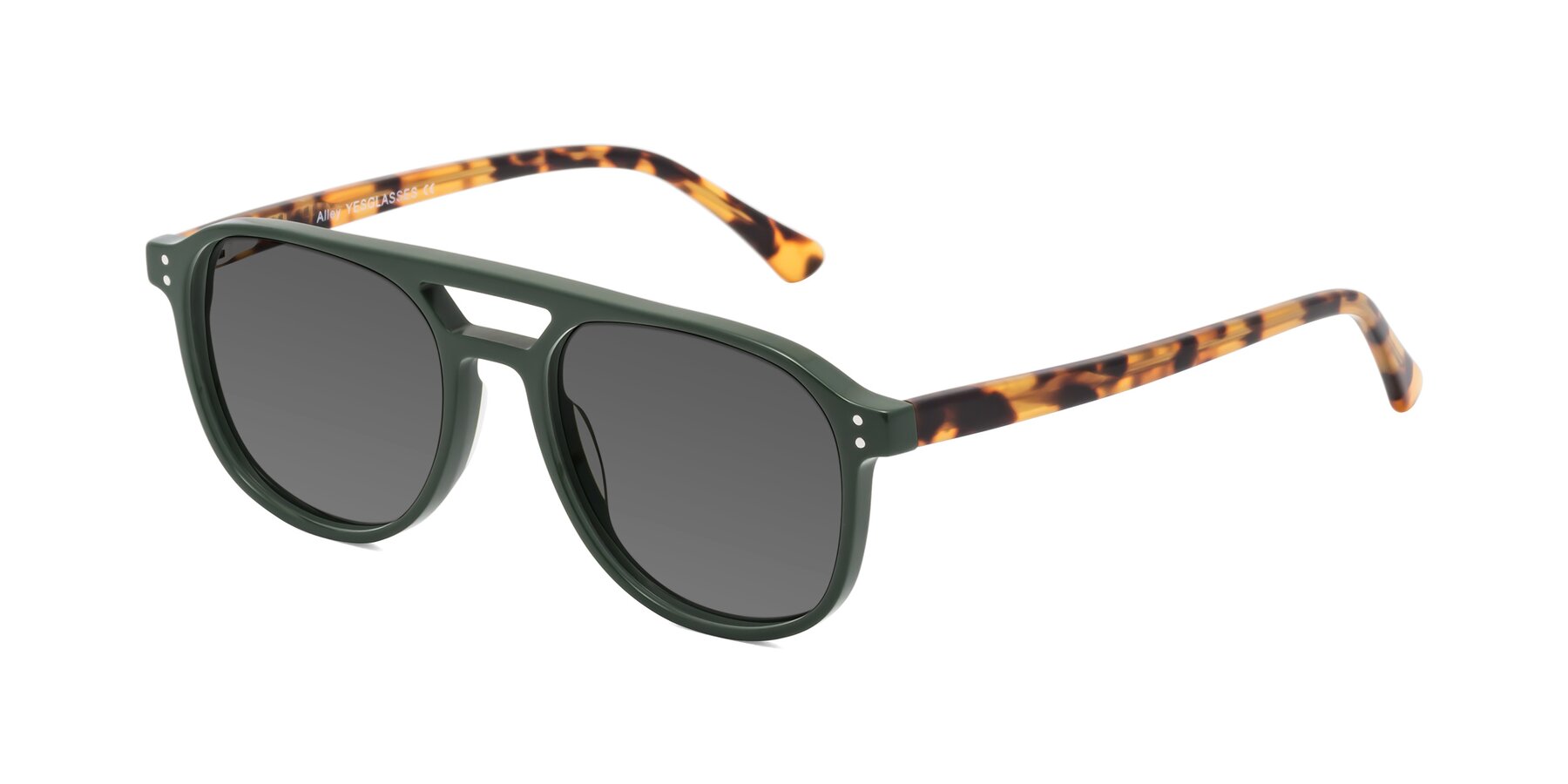 Angle of Alley in Seaweed-Tortoise with Medium Gray Tinted Lenses