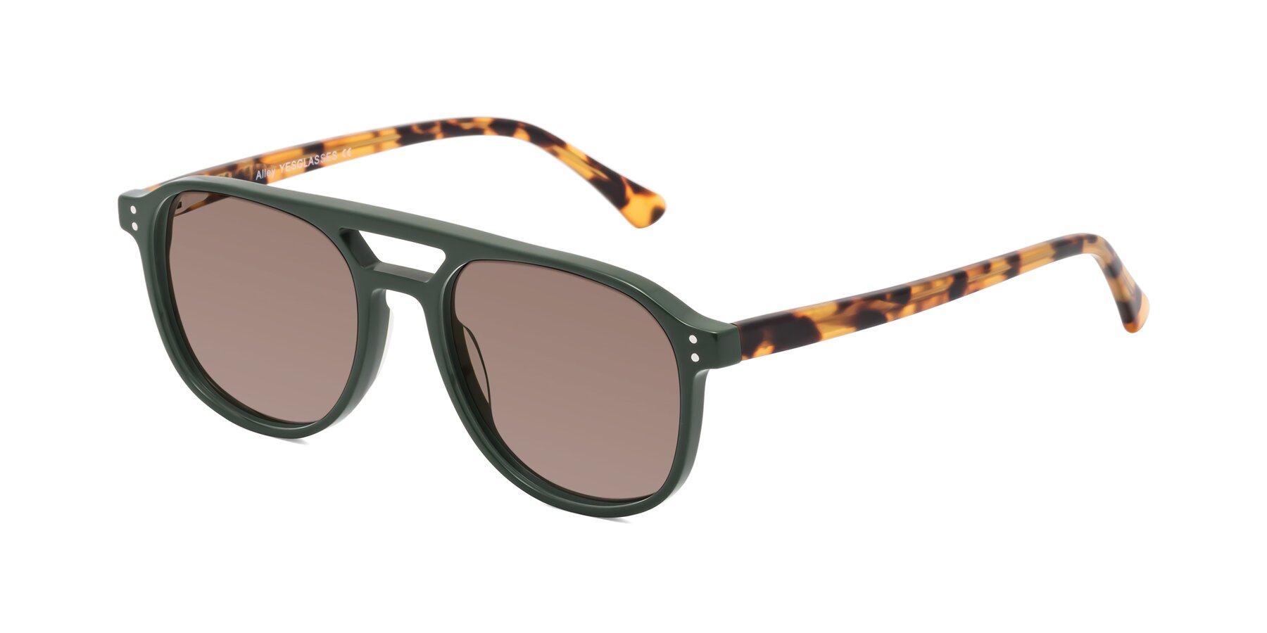 Angle of Alley in Seaweed-Tortoise with Medium Brown Tinted Lenses