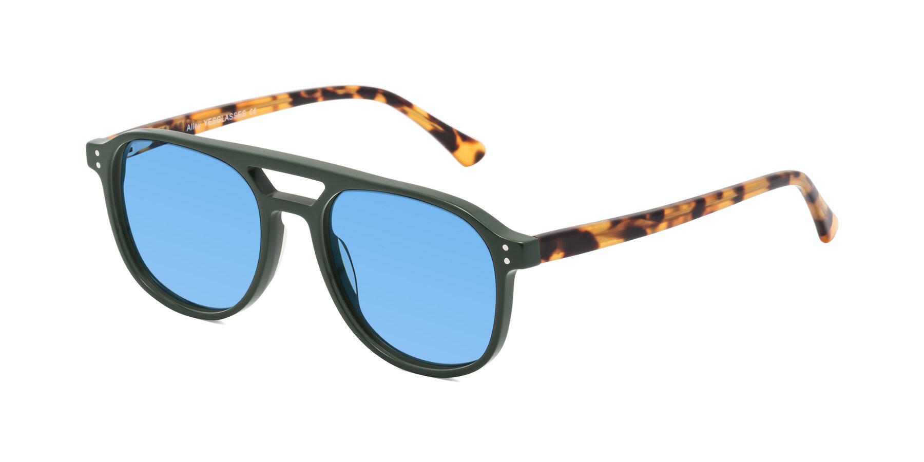 Angle of Alley in Seaweed-Tortoise with Medium Blue Tinted Lenses