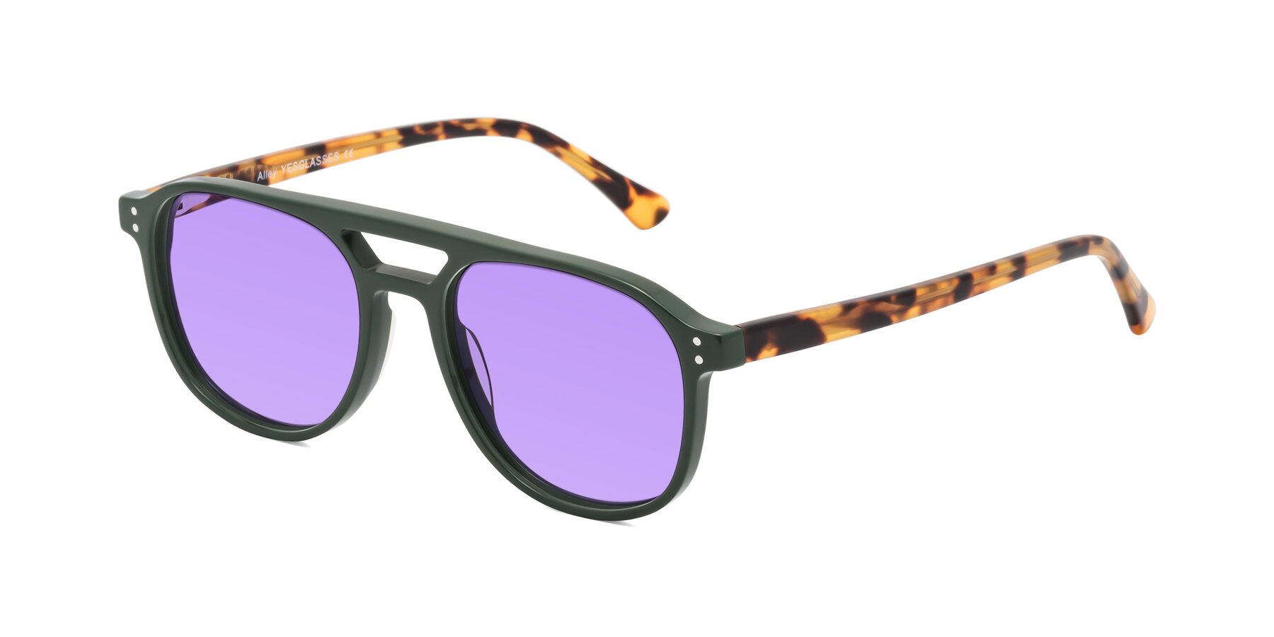 Angle of Alley in Seaweed-Tortoise with Medium Purple Tinted Lenses