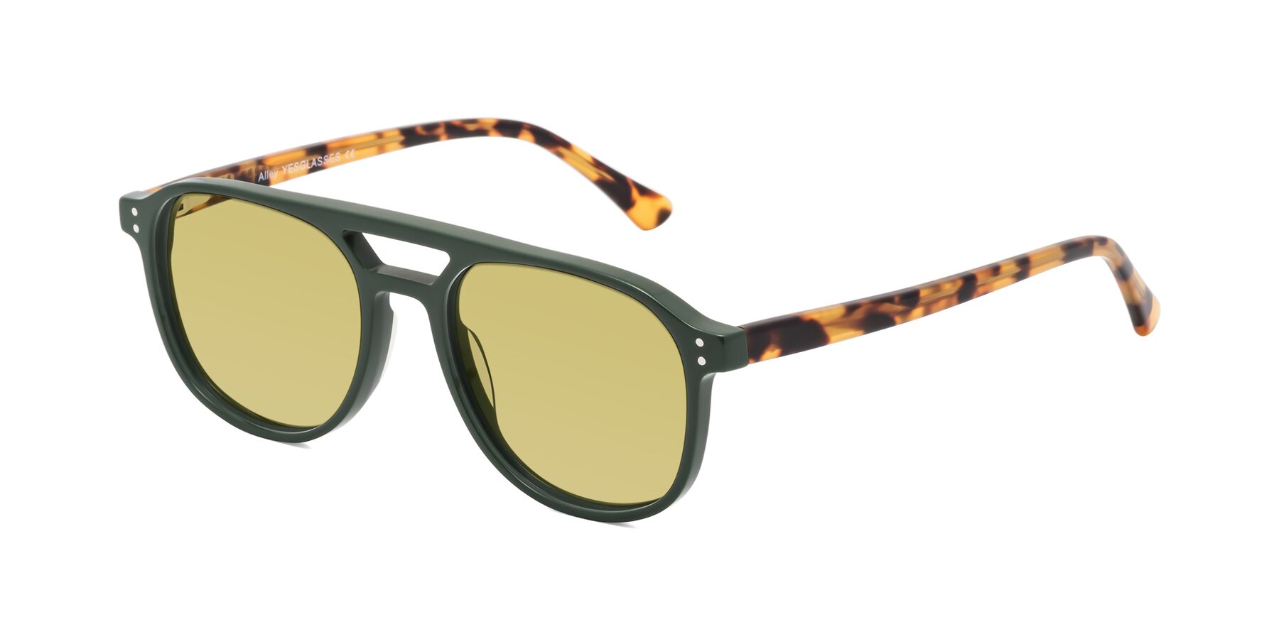 Angle of Alley in Seaweed-Tortoise with Medium Champagne Tinted Lenses