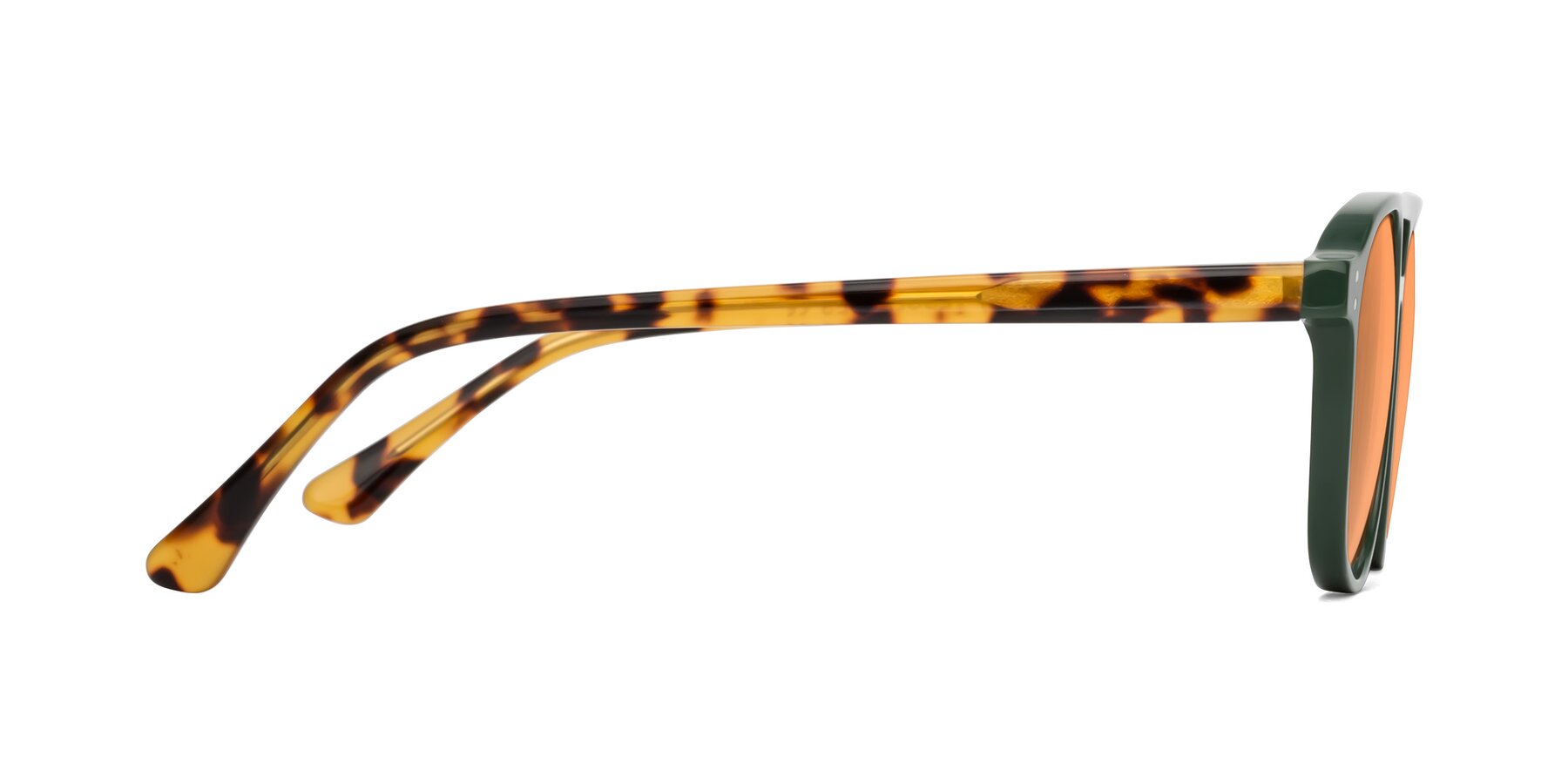 Side of Alley in Seaweed-Tortoise with Medium Orange Tinted Lenses