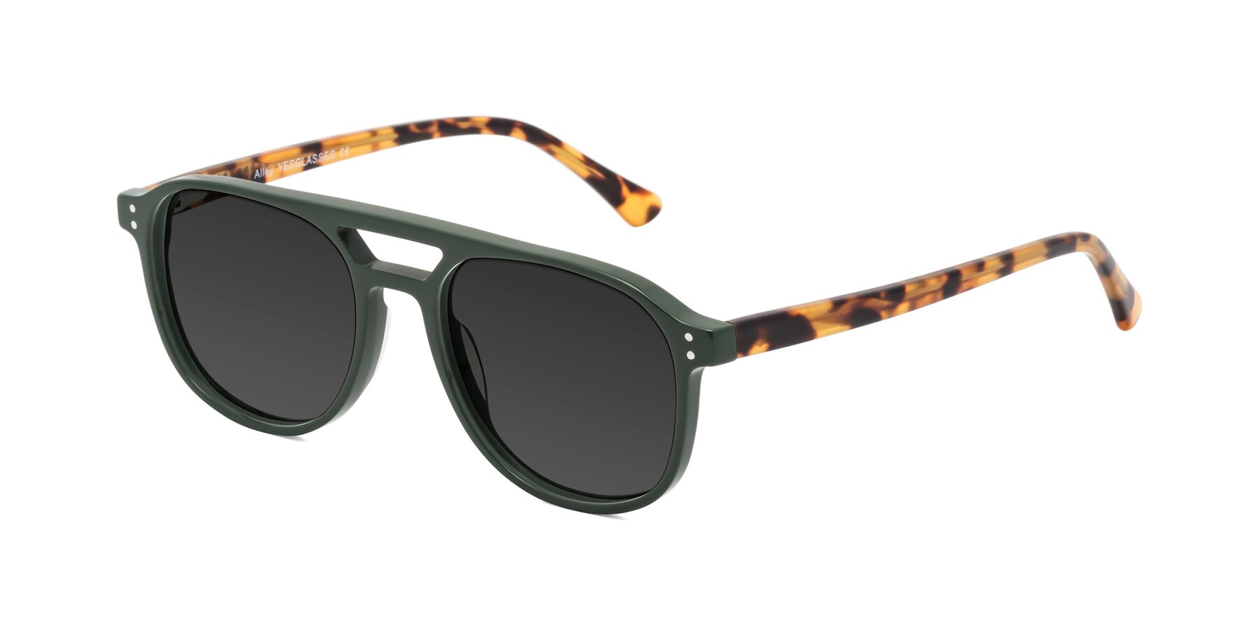 Angle of Alley in Seaweed-Tortoise with Gray Tinted Lenses