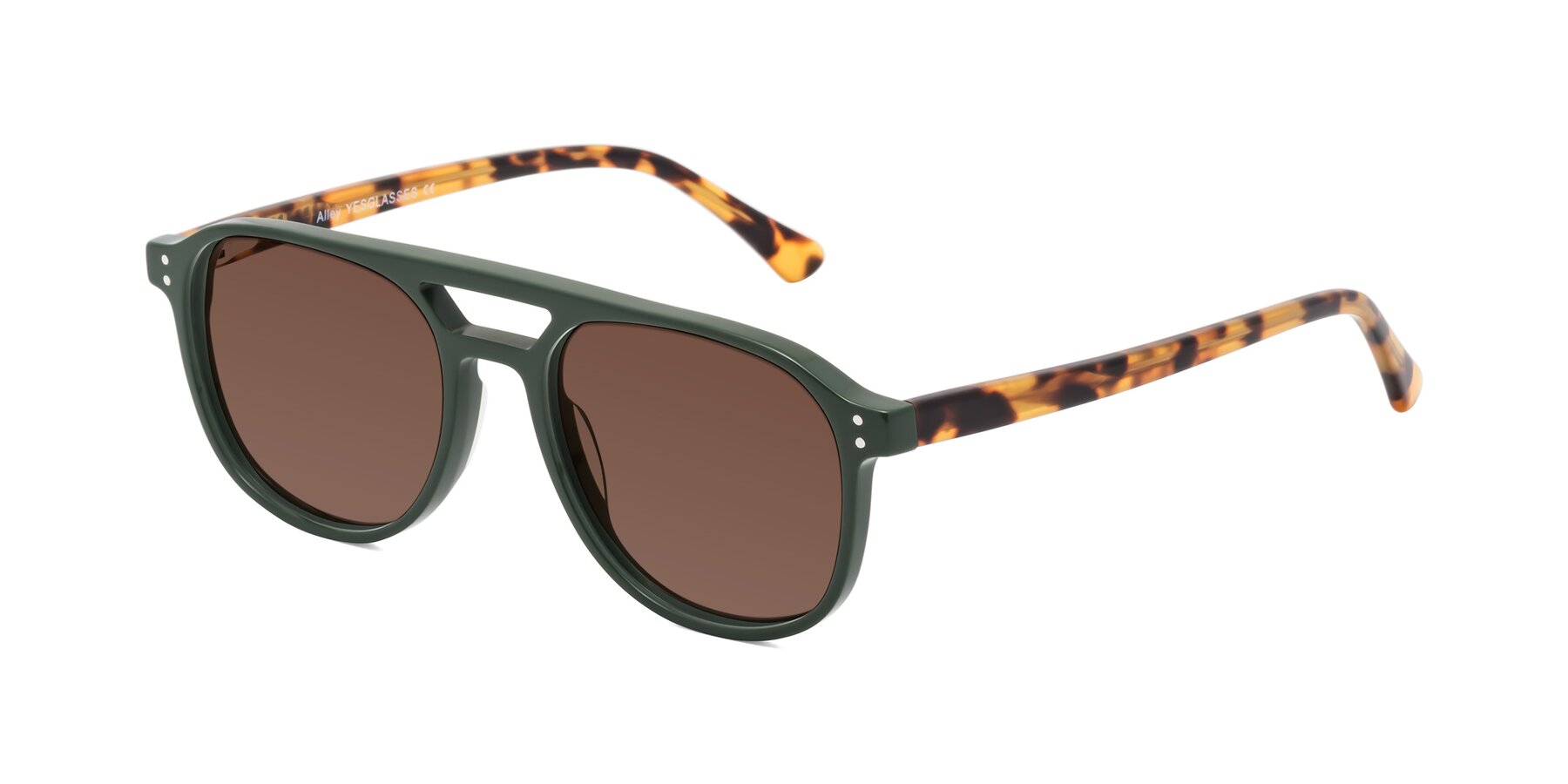 Angle of Alley in Seaweed-Tortoise with Brown Tinted Lenses