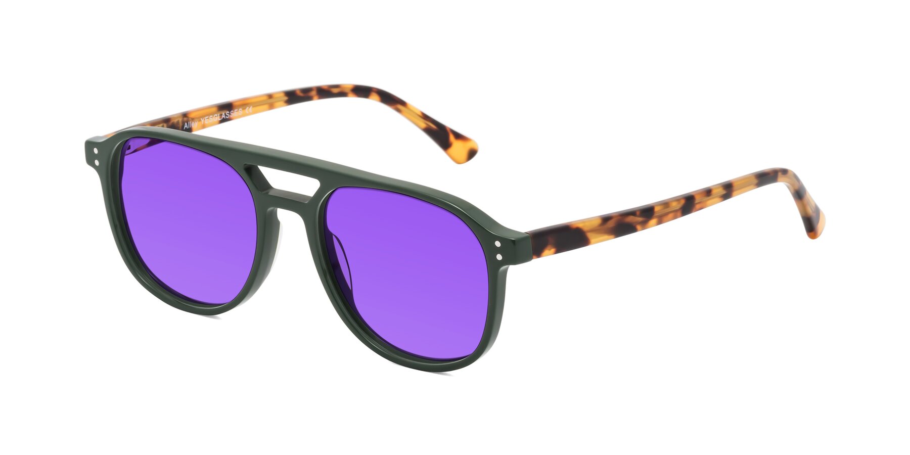 Angle of Alley in Seaweed-Tortoise with Purple Tinted Lenses