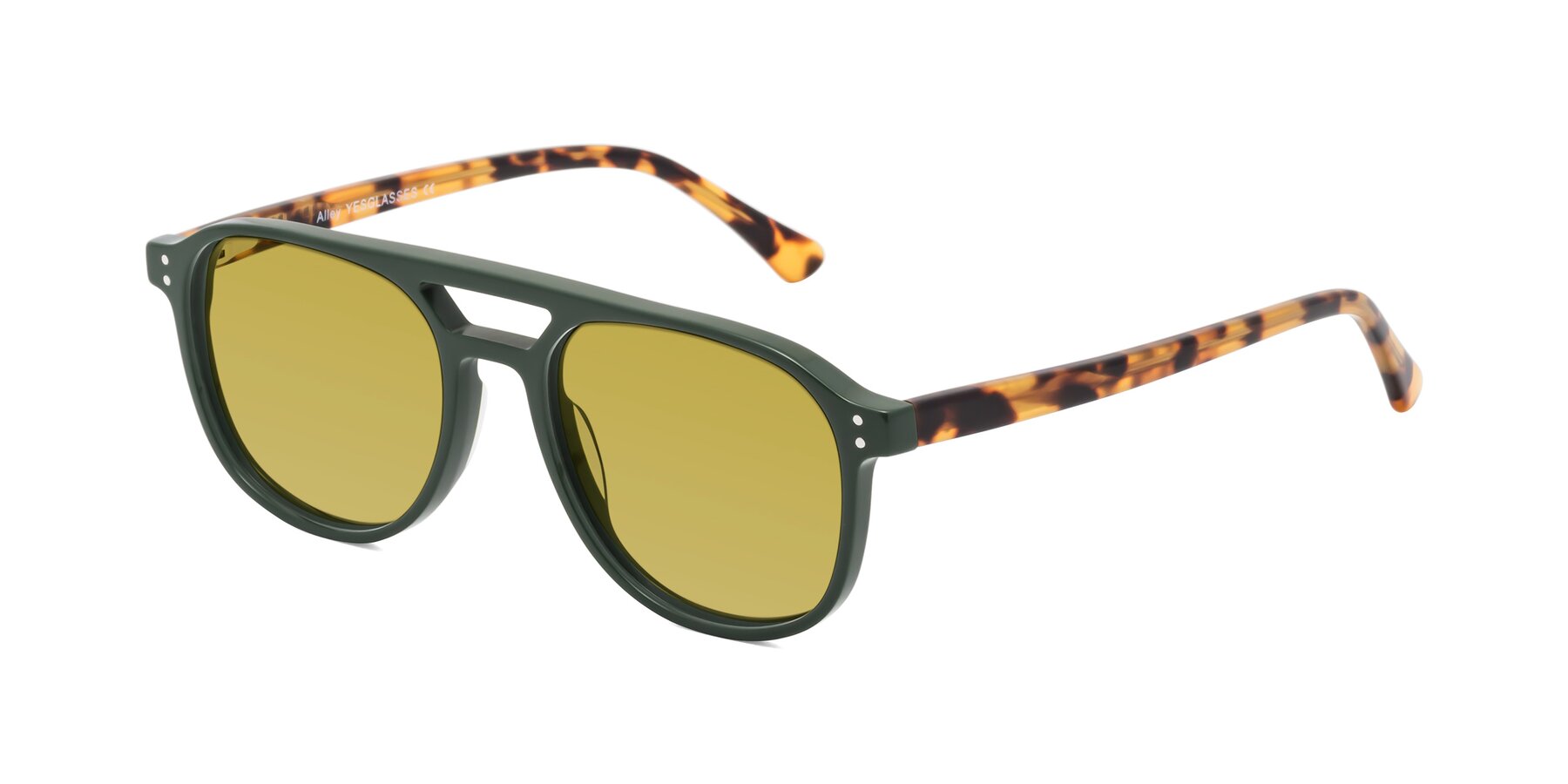 Angle of Alley in Seaweed-Tortoise with Champagne Tinted Lenses