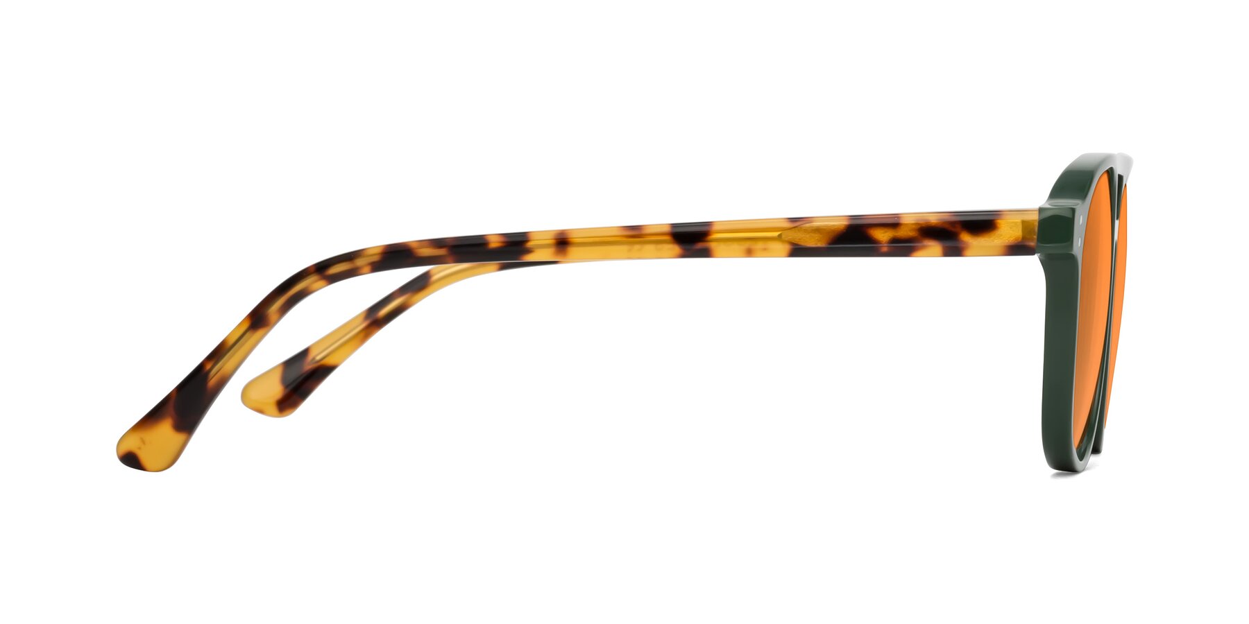 Side of Alley in Seaweed-Tortoise with Orange Tinted Lenses