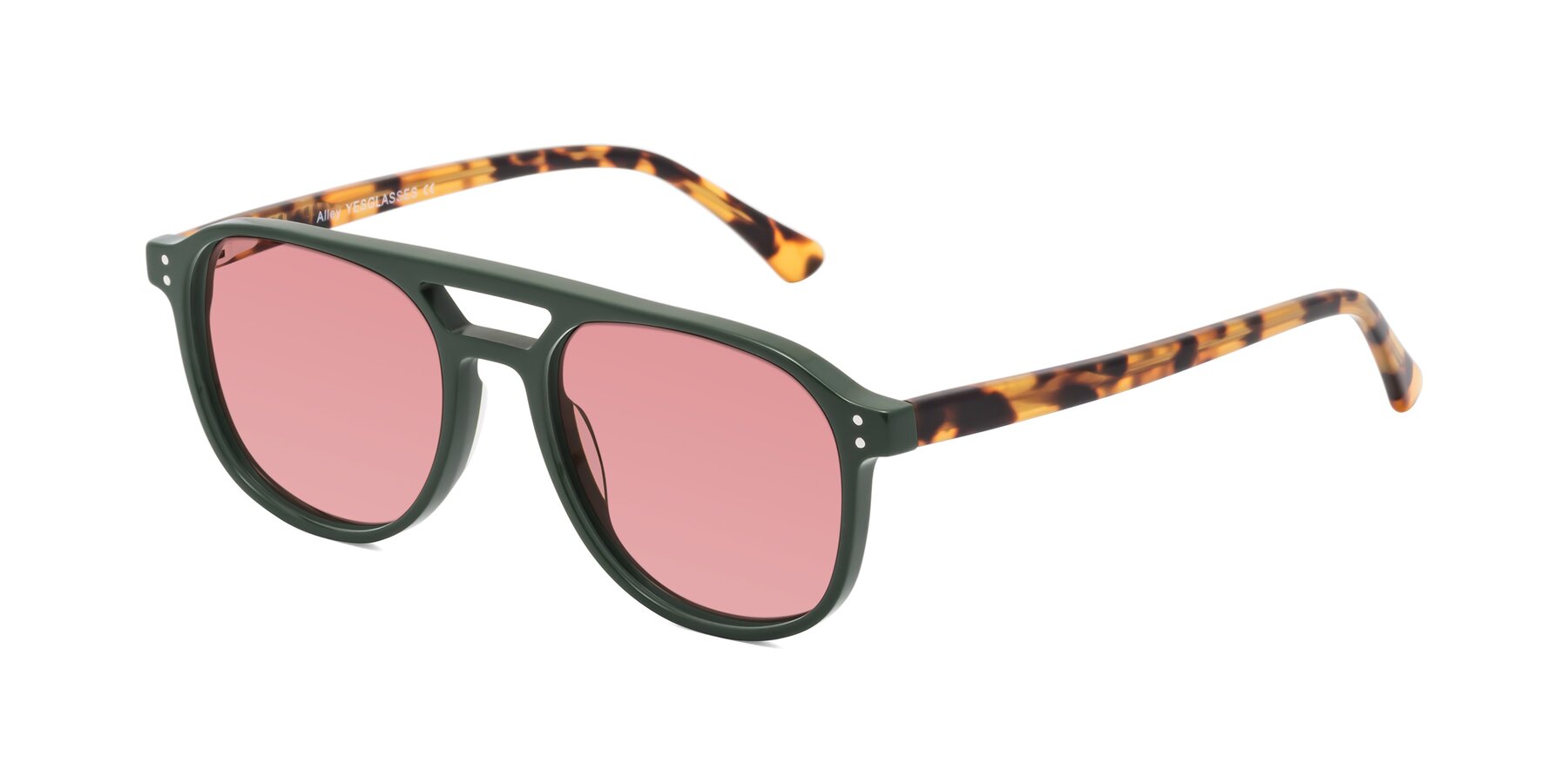 Angle of Alley in Seaweed-Tortoise with Medium Garnet Tinted Lenses