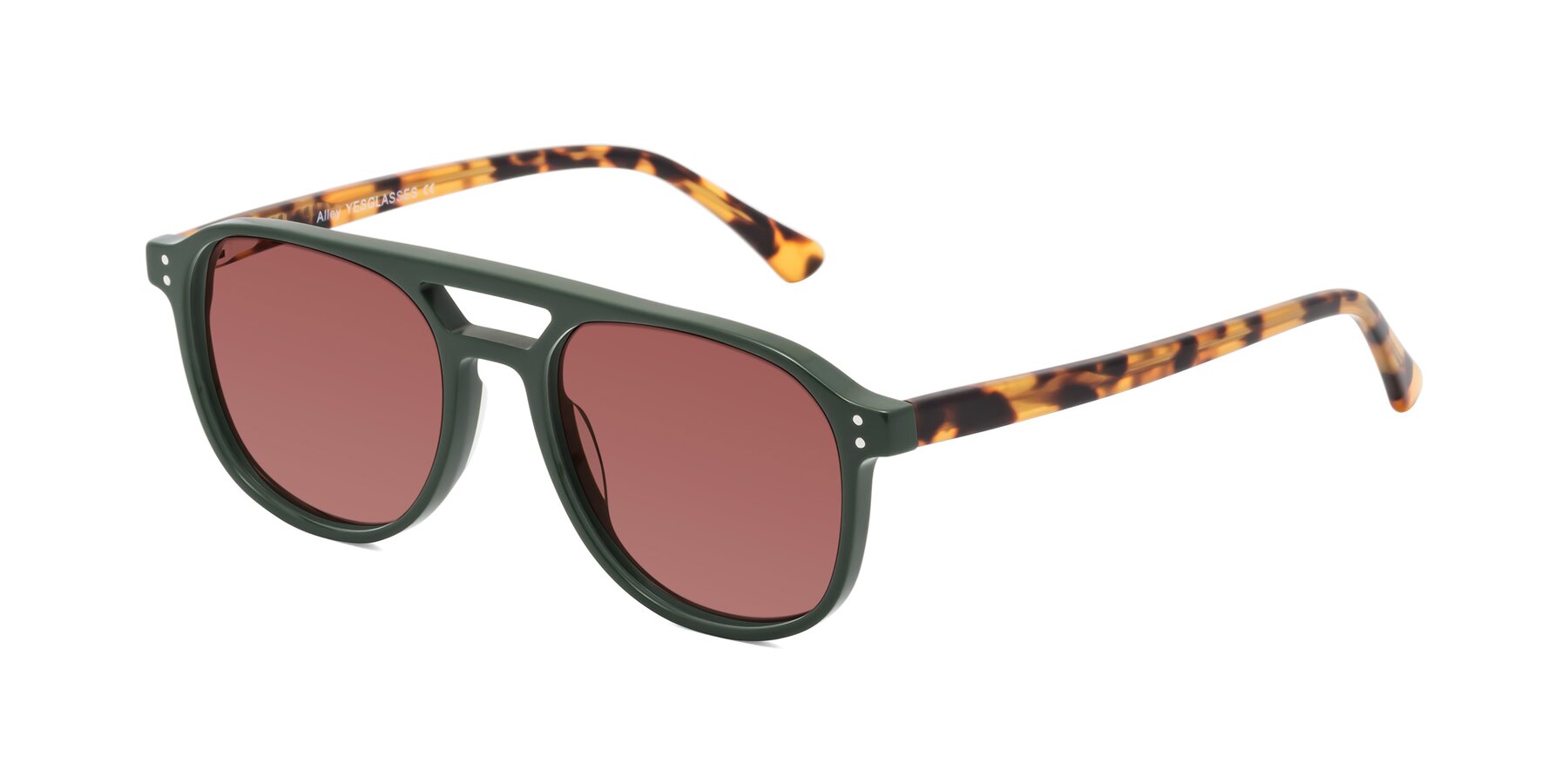 Angle of Alley in Seaweed-Tortoise with Garnet Tinted Lenses