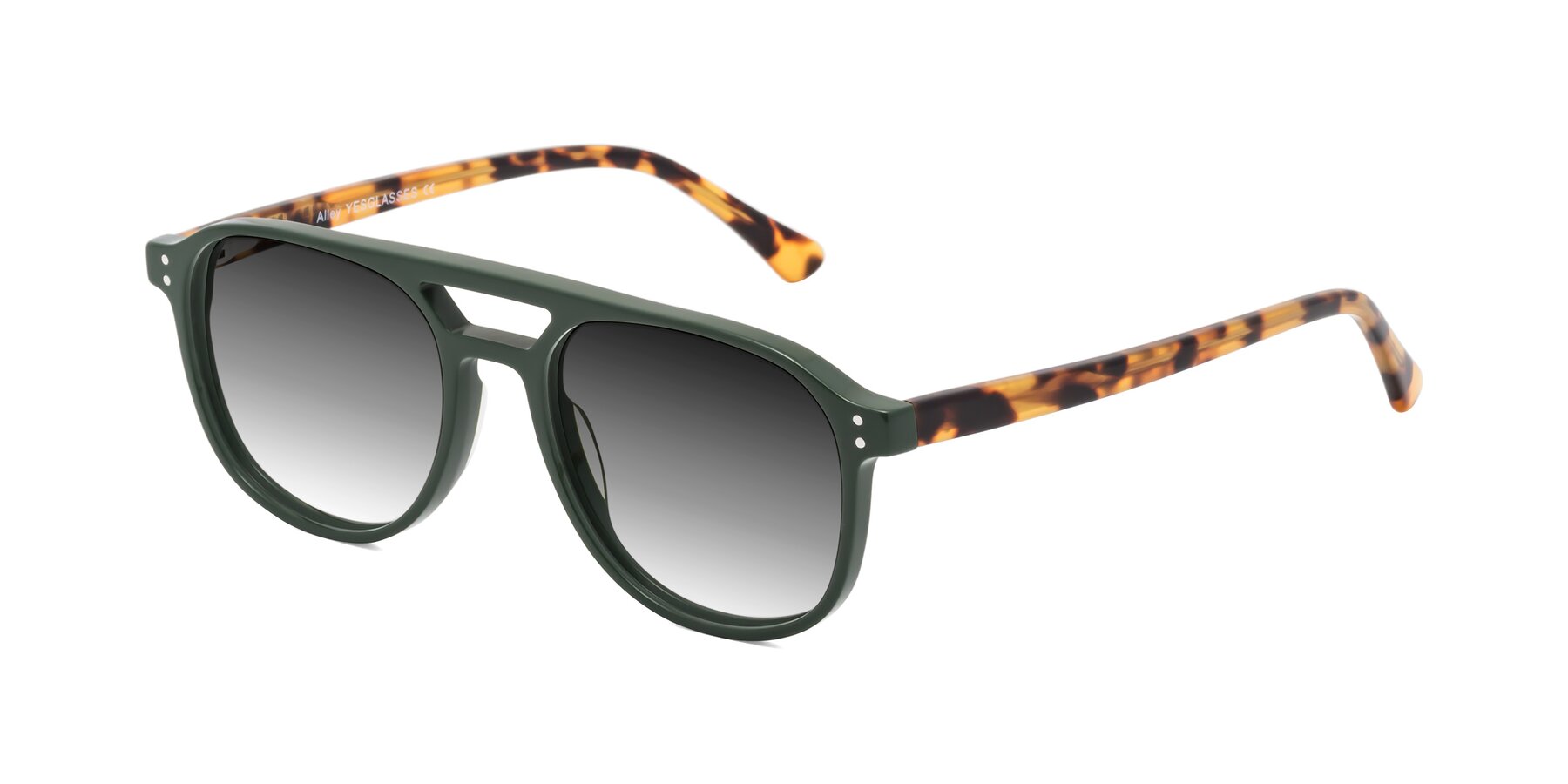 Angle of Alley in Seaweed-Tortoise with Gray Gradient Lenses