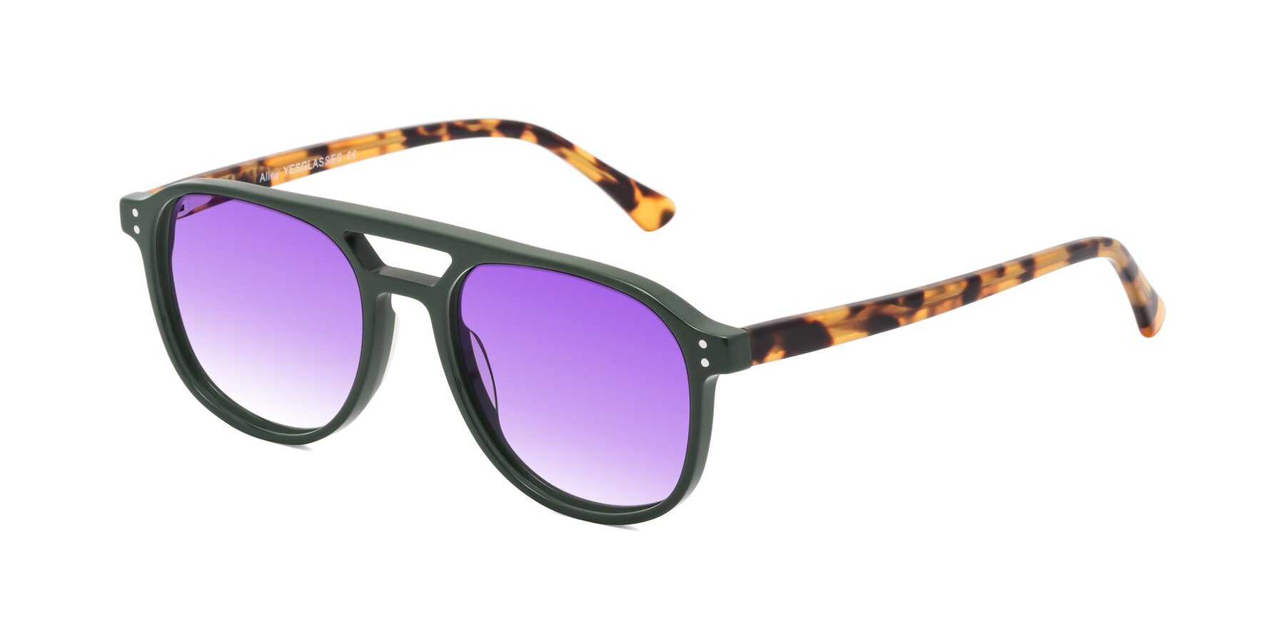 Angle of Alley in Seaweed-Tortoise with Purple Gradient Lenses