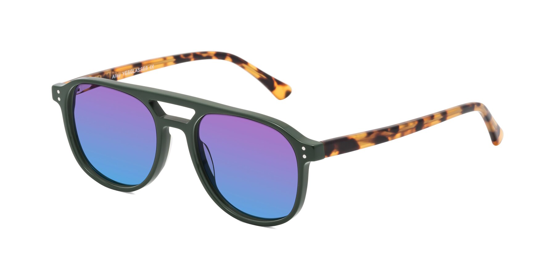 Angle of Alley in Seaweed-Tortoise with Purple / Blue Gradient Lenses