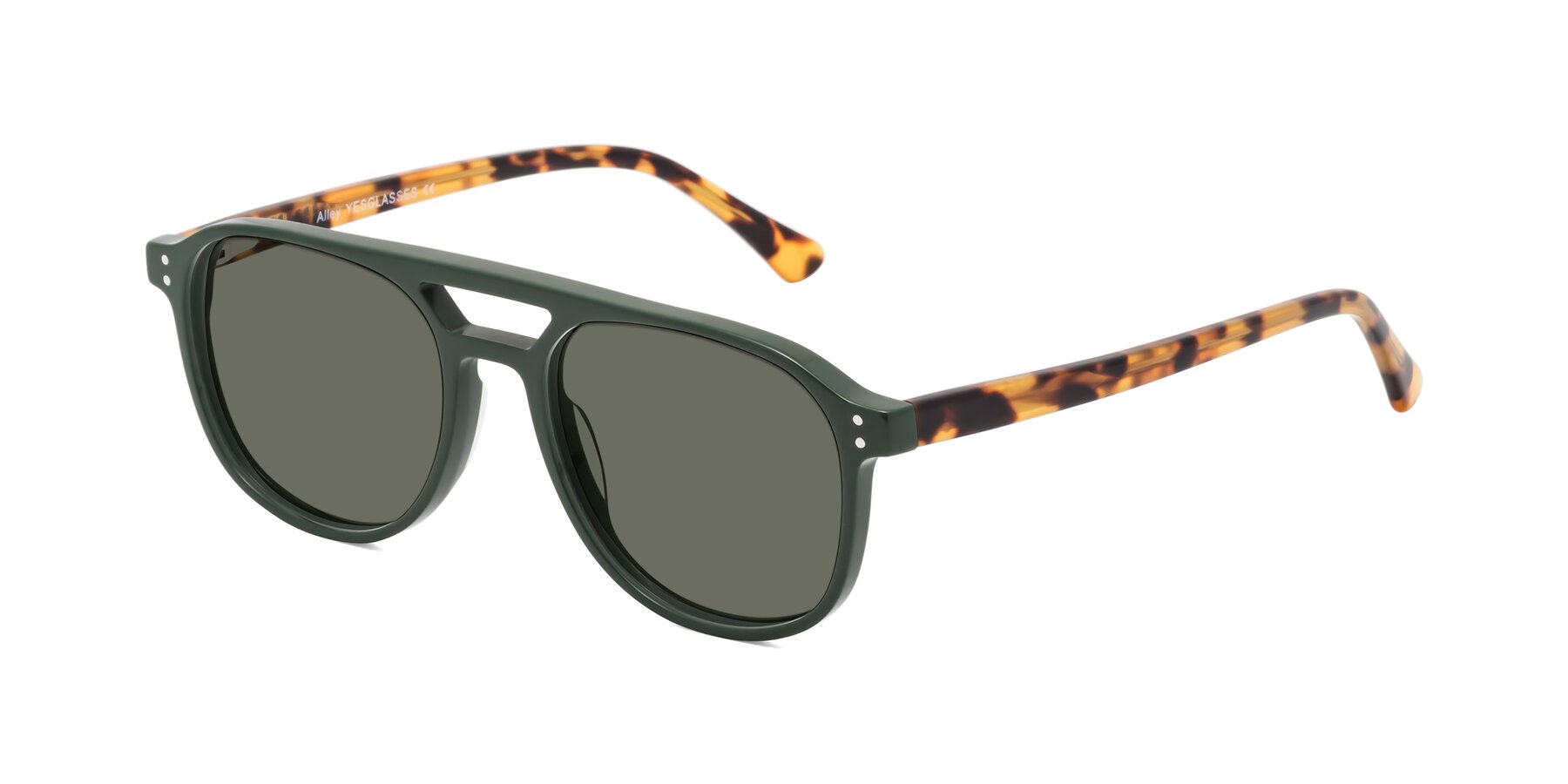 Angle of Alley in Seaweed-Tortoise with Gray Polarized Lenses