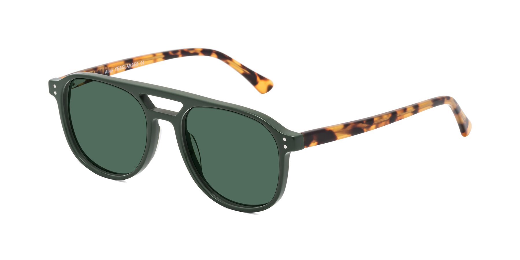 Angle of Alley in Seaweed-Tortoise with Green Polarized Lenses