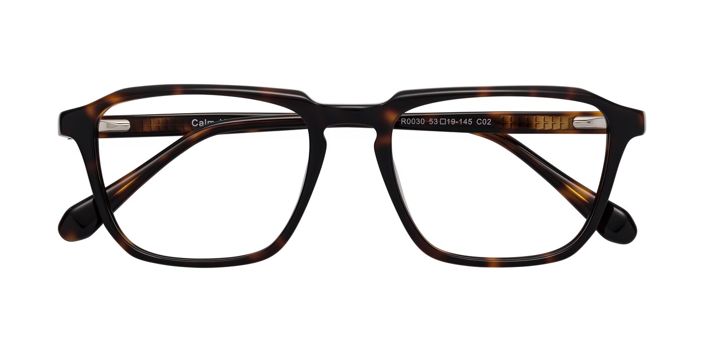 Calm - Tortoise Reading Glasses