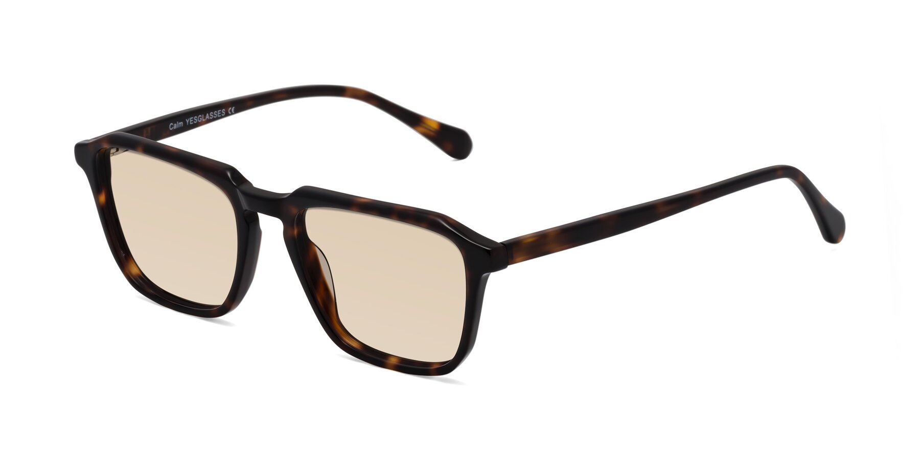 Angle of Calm in Tortoise with Light Brown Tinted Lenses