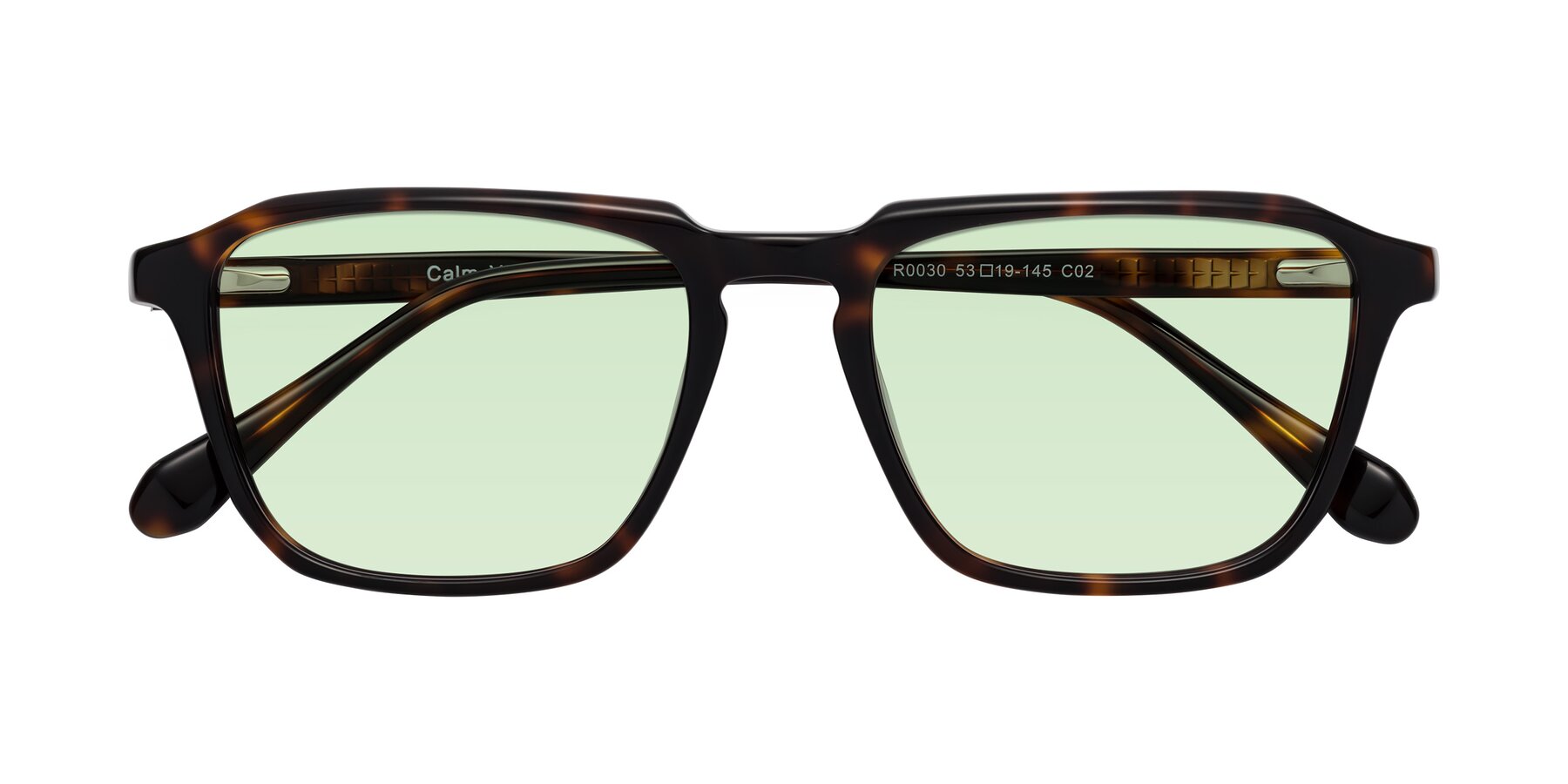 Folded Front of Calm in Tortoise with Light Green Tinted Lenses