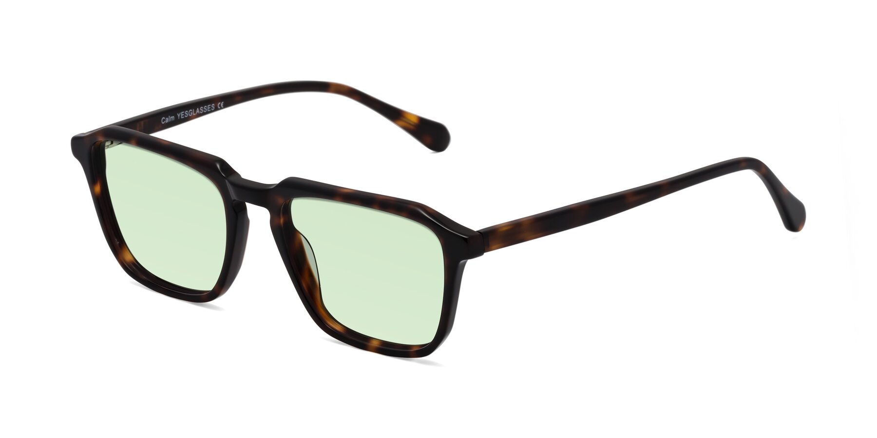 Angle of Calm in Tortoise with Light Green Tinted Lenses