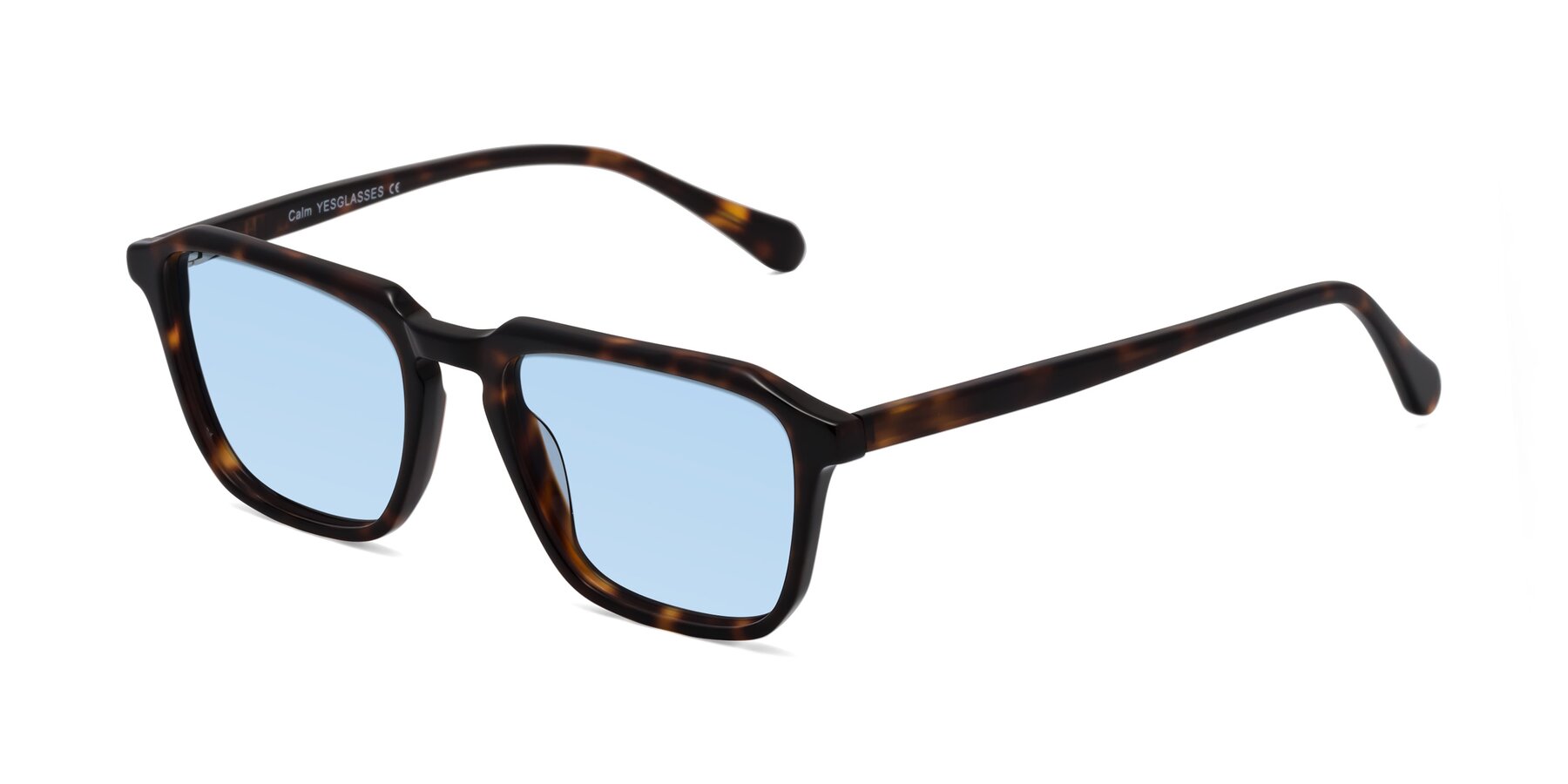 Angle of Calm in Tortoise with Light Blue Tinted Lenses