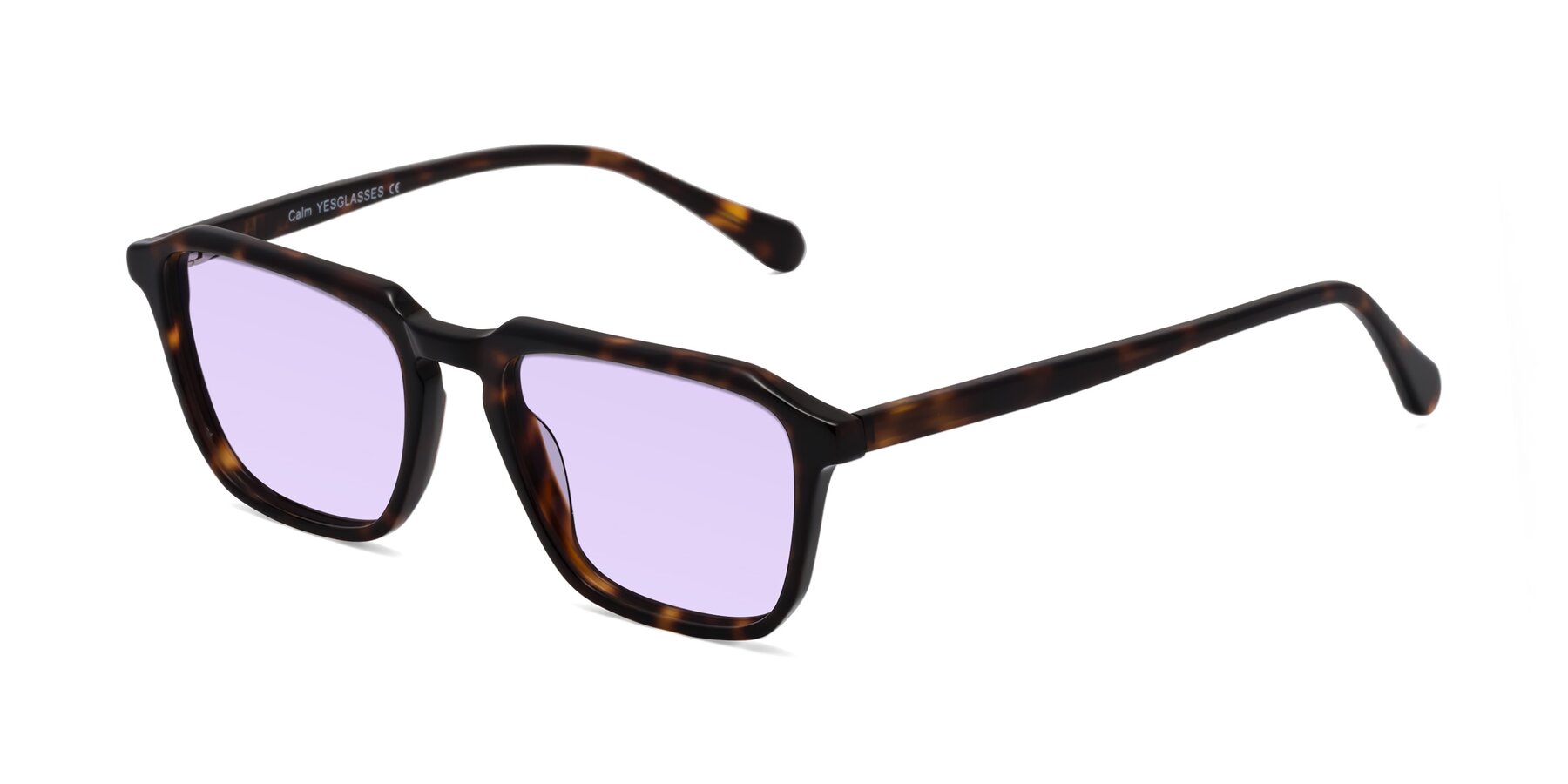 Angle of Calm in Tortoise with Light Purple Tinted Lenses