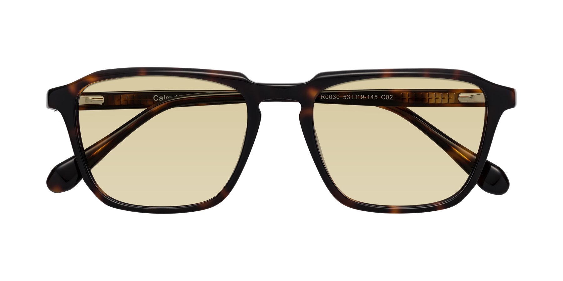 Folded Front of Calm in Tortoise with Light Champagne Tinted Lenses