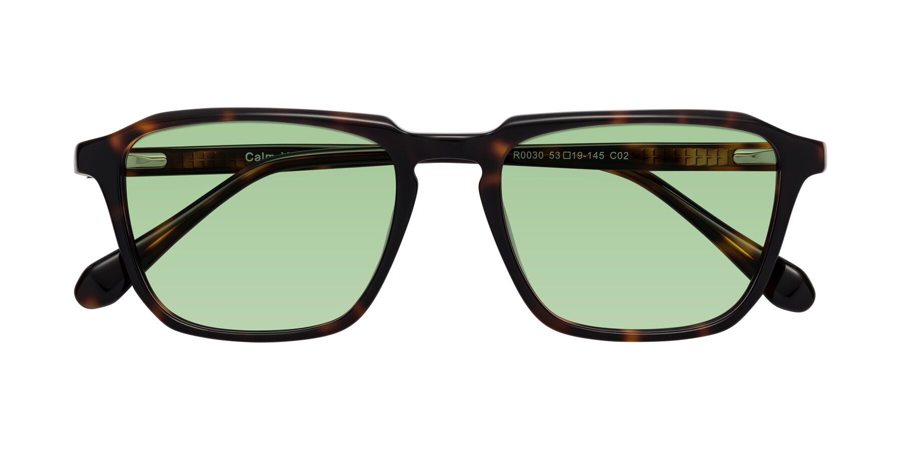 Folded Front of Calm in Tortoise with Medium Green Tinted Lenses