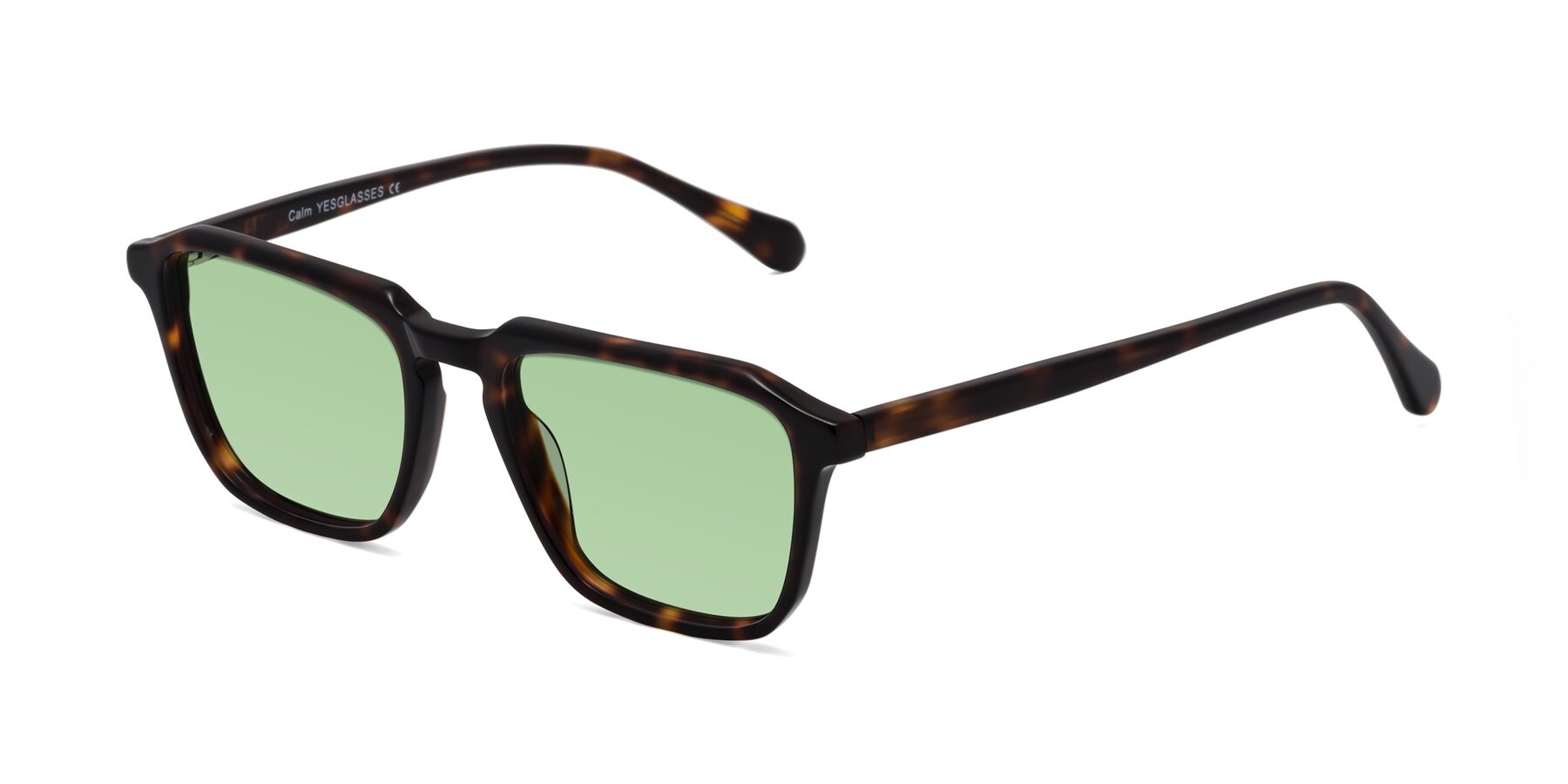 Angle of Calm in Tortoise with Medium Green Tinted Lenses