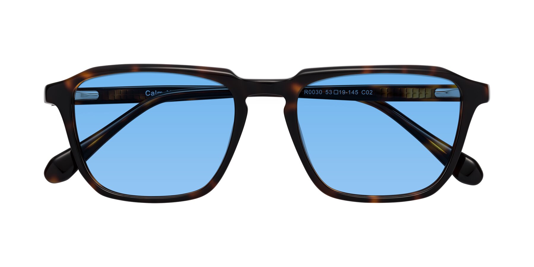 Folded Front of Calm in Tortoise with Medium Blue Tinted Lenses