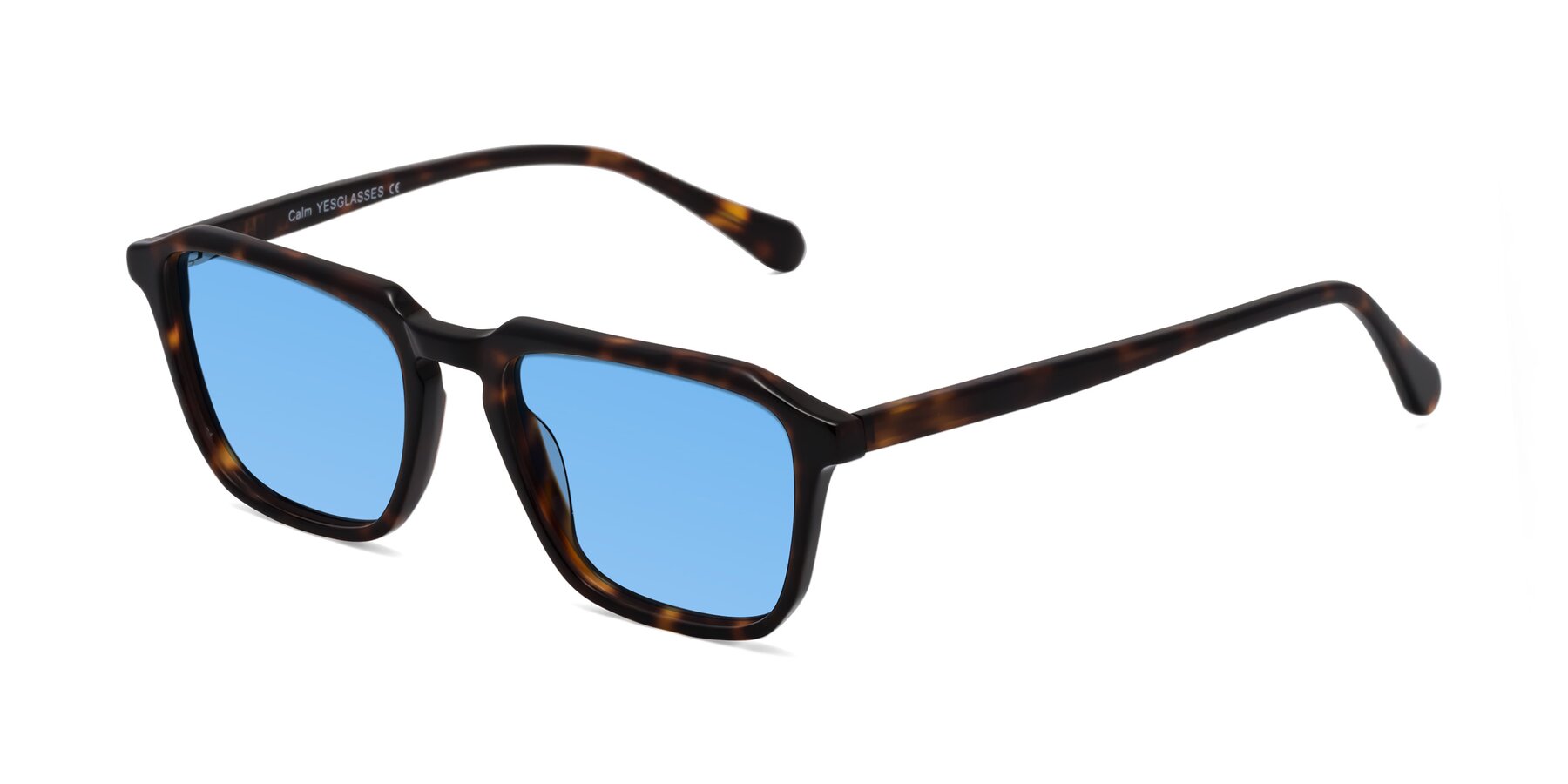 Angle of Calm in Tortoise with Medium Blue Tinted Lenses