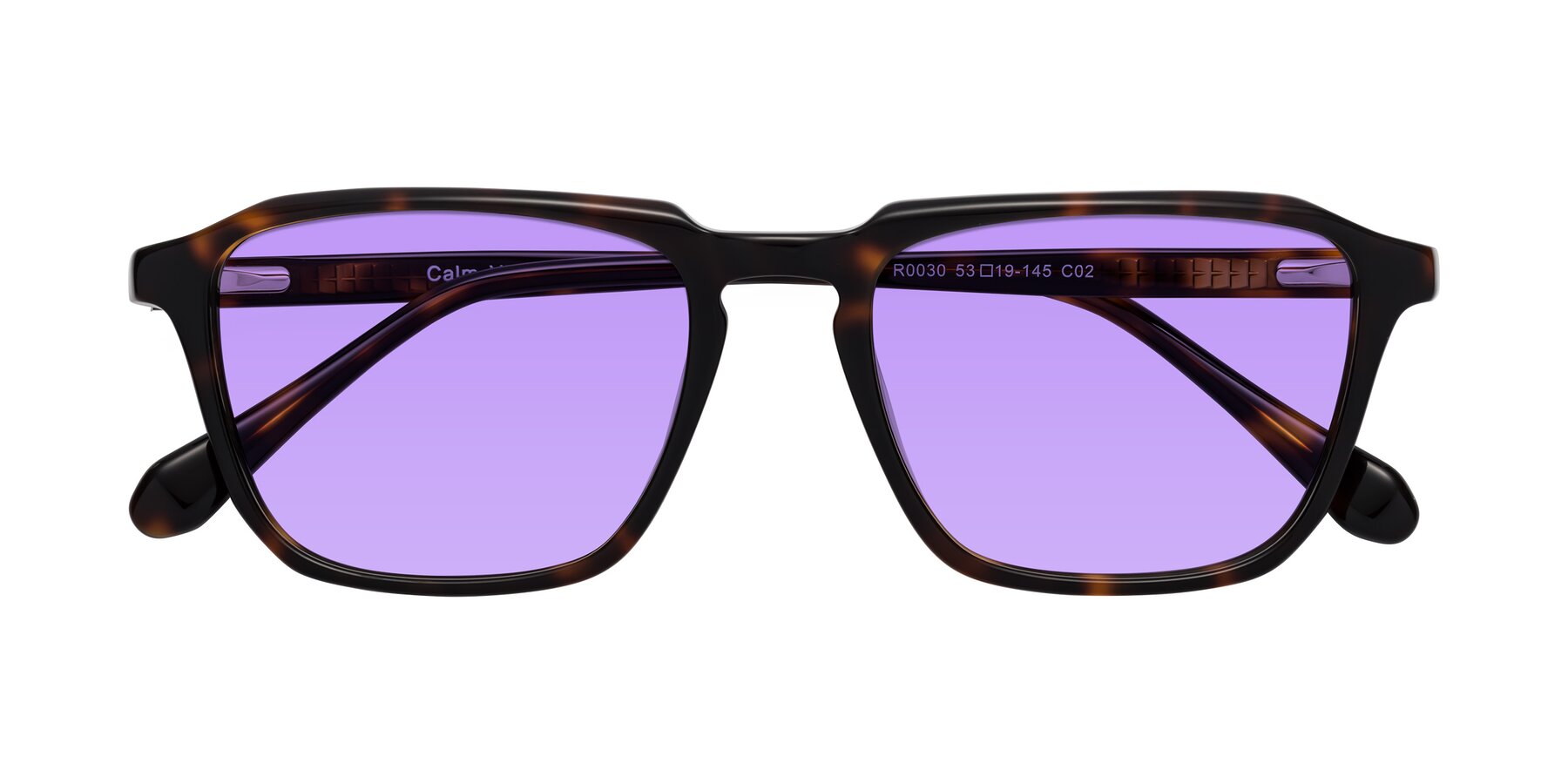 Folded Front of Calm in Tortoise with Medium Purple Tinted Lenses