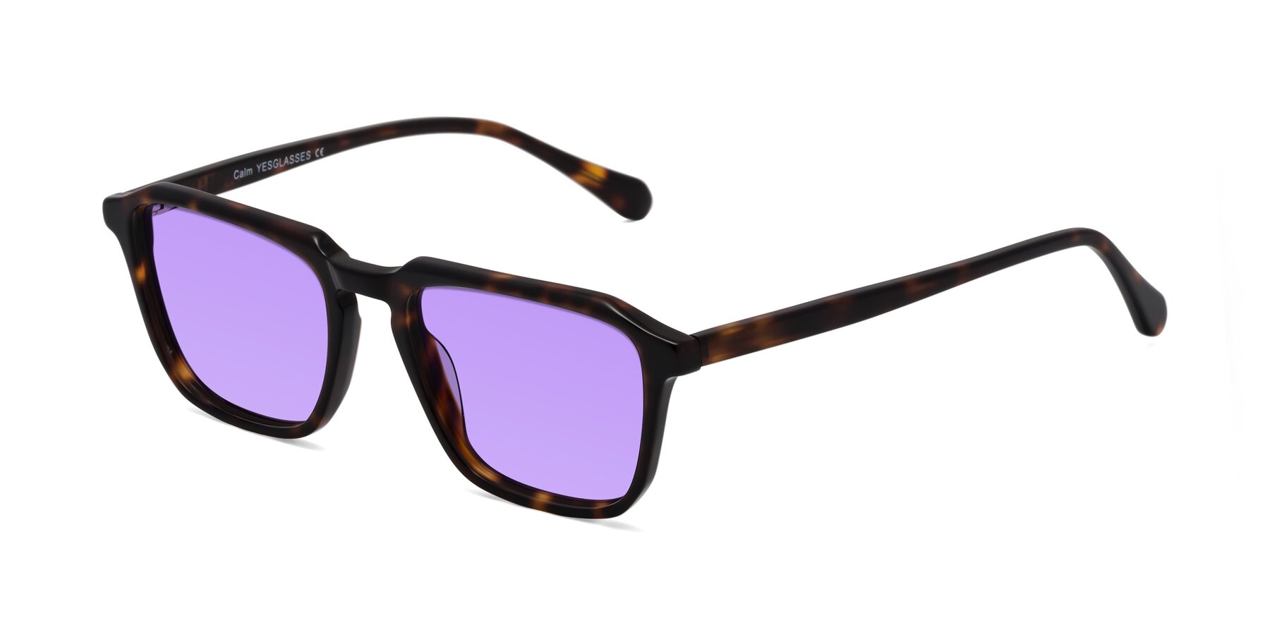 Angle of Calm in Tortoise with Medium Purple Tinted Lenses