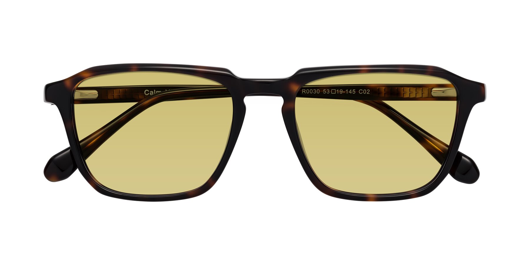 Folded Front of Calm in Tortoise with Medium Champagne Tinted Lenses