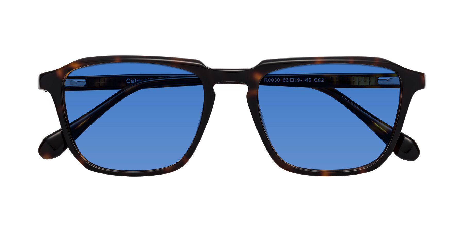 Folded Front of Calm in Tortoise with Blue Tinted Lenses