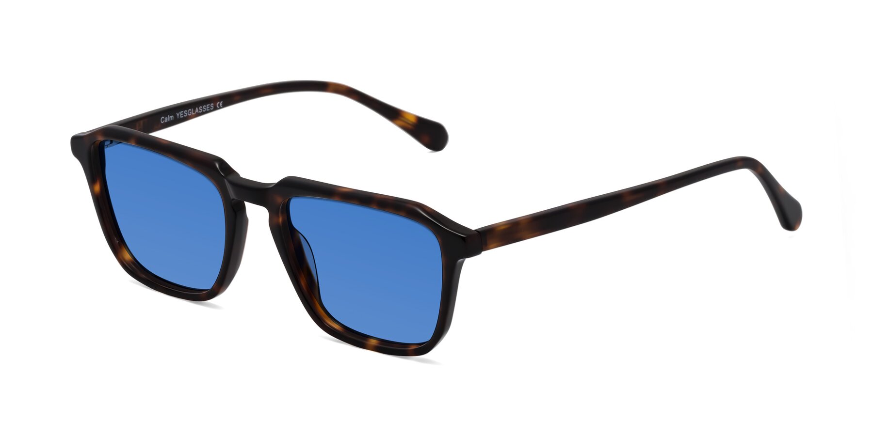 Angle of Calm in Tortoise with Blue Tinted Lenses