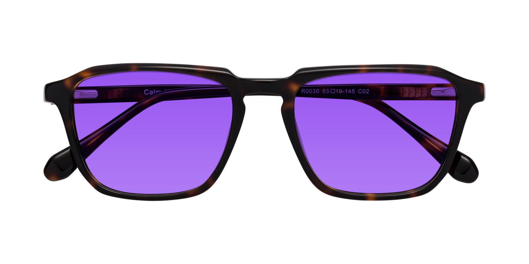 Folded Front of Calm in Tortoise with Purple Tinted Lenses