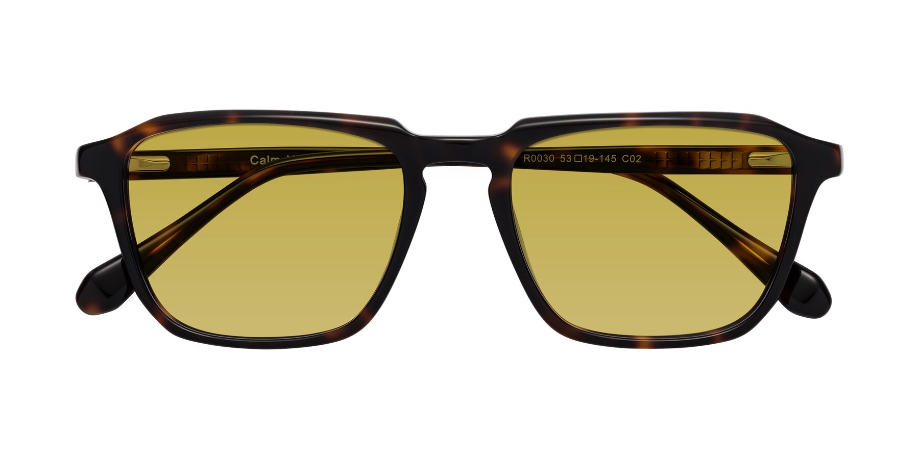 Folded Front of Calm in Tortoise with Champagne Tinted Lenses