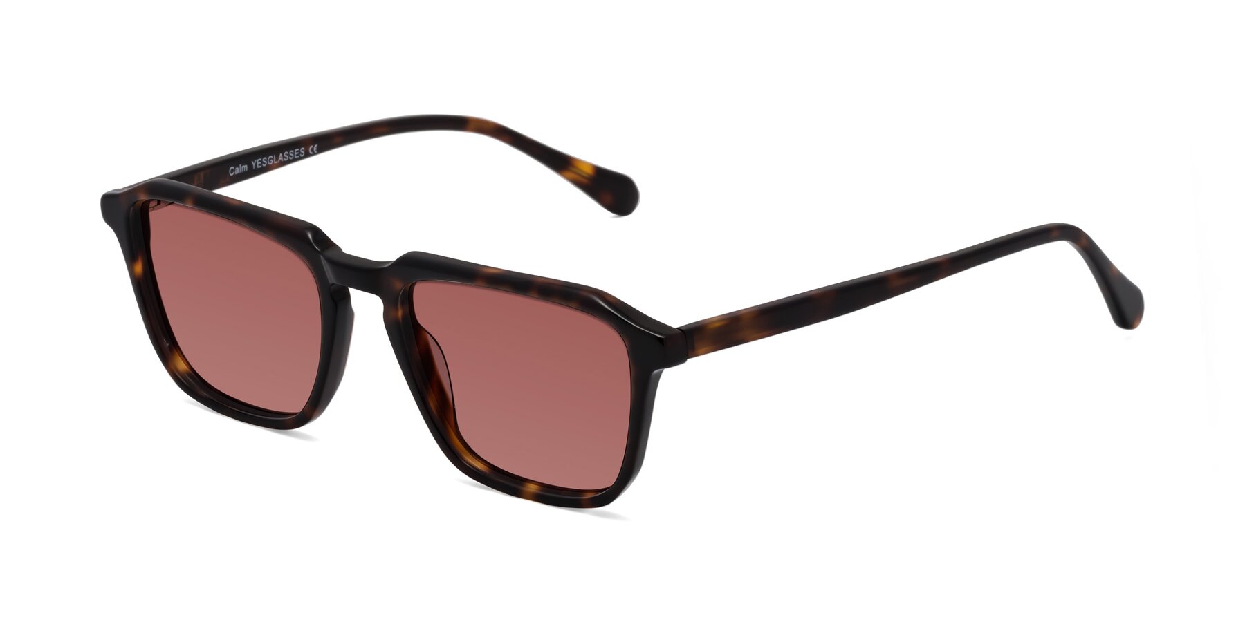 Angle of Calm in Tortoise with Garnet Tinted Lenses