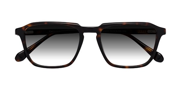 Front of Calm in Tortoise